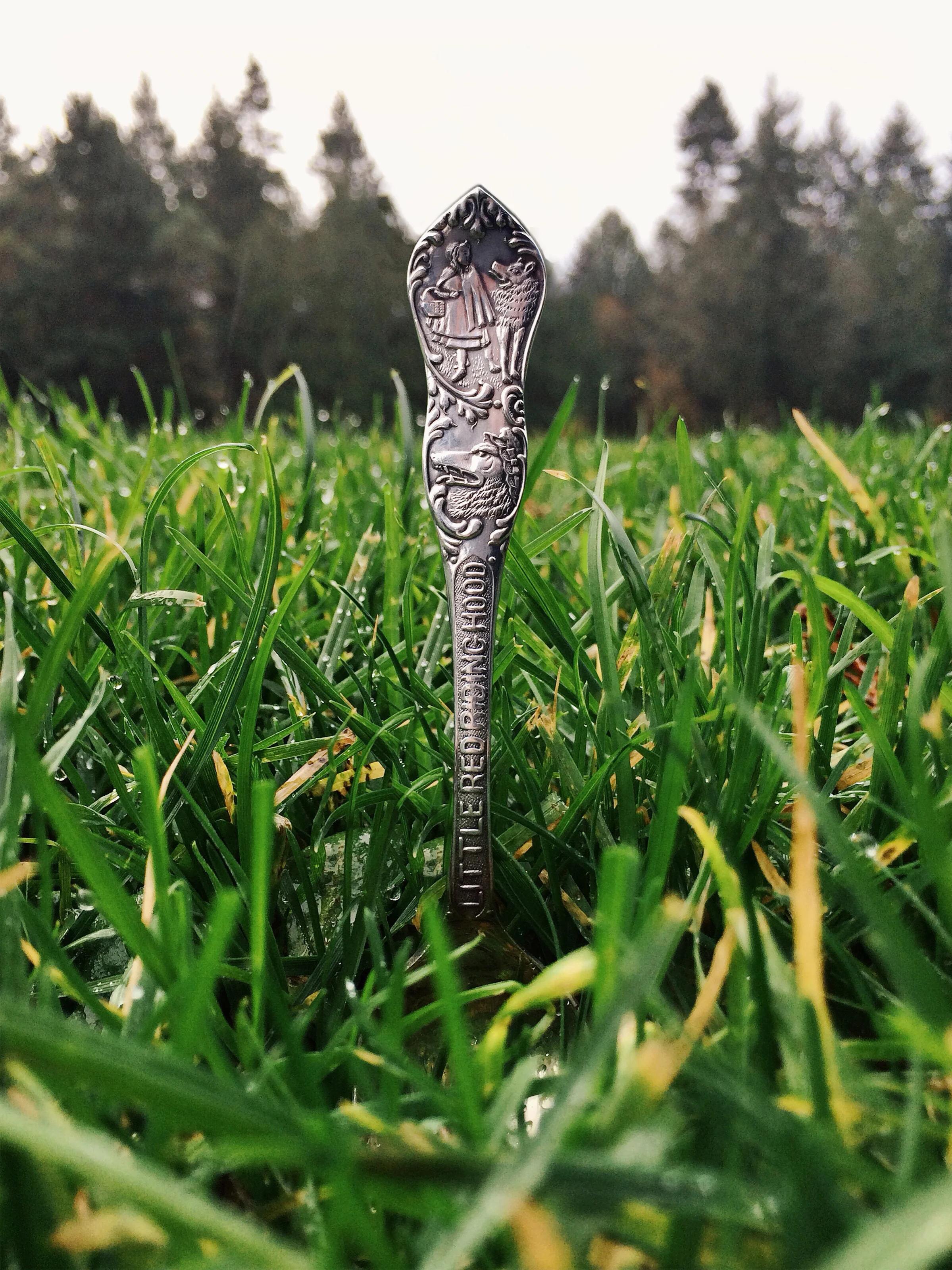 LRRH grass fin.jpg