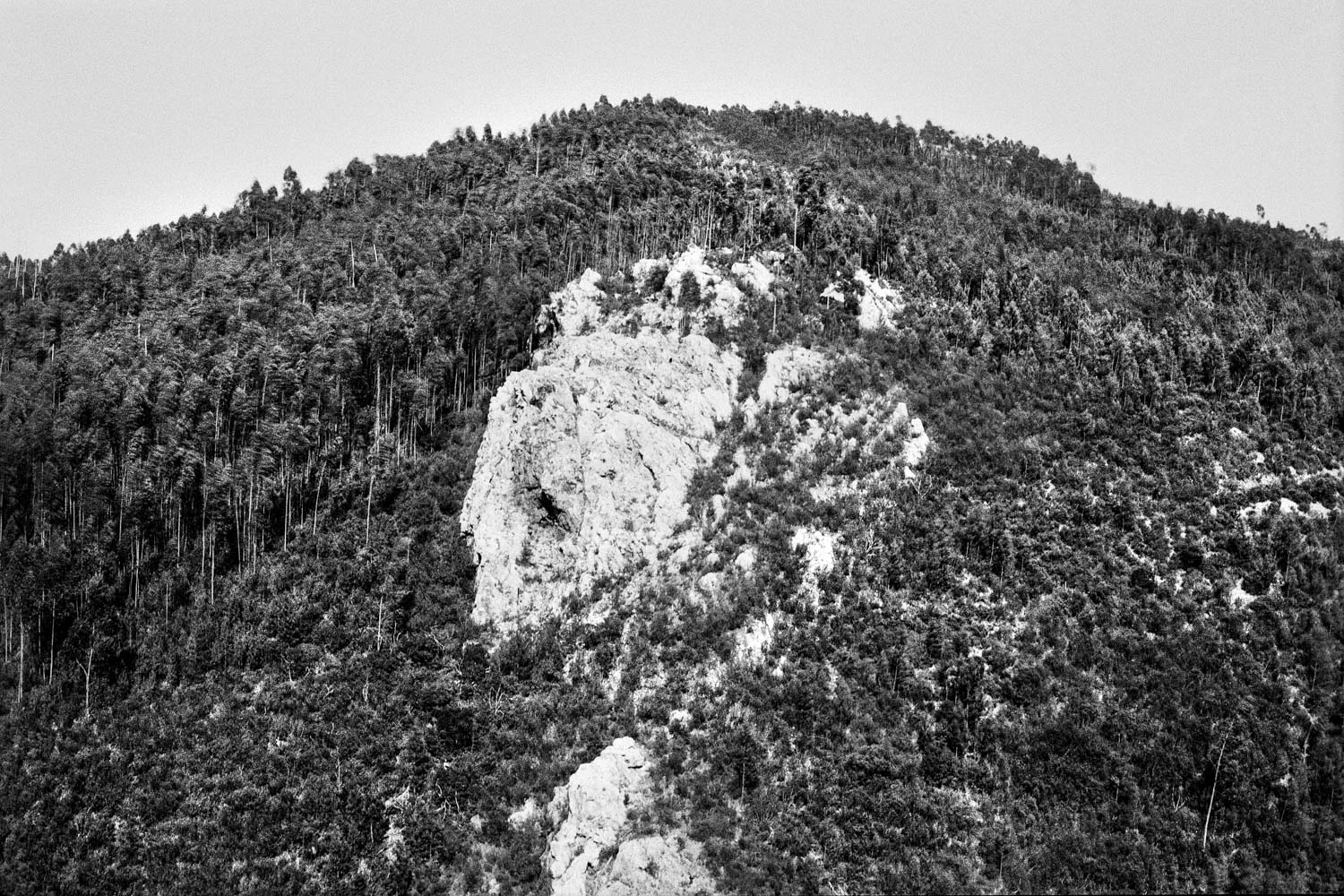 Castelo Branco, André Paxiuta, 2017