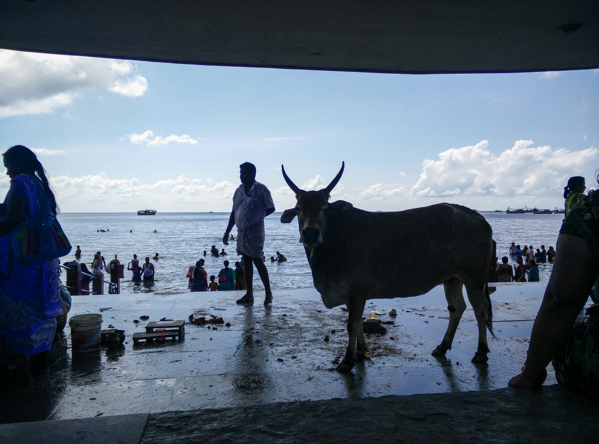 Agnitheertham - a spot for visitors to the temple to take a dip. It is also popular with cows and goats who come because there is a steady stream of greens for them to eat. One woman tried to sell me a bunch of greens to feed this cow. 