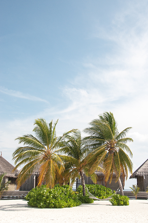Maldives © Renae Smith