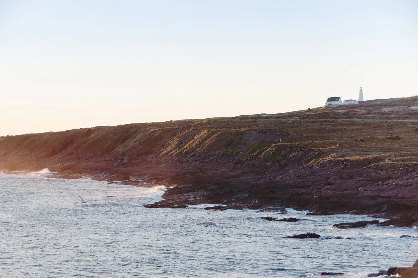 Newfoundland, Canada © Renae Smith