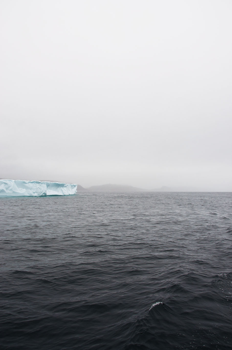Newfoundland, Canada © Renae Smith