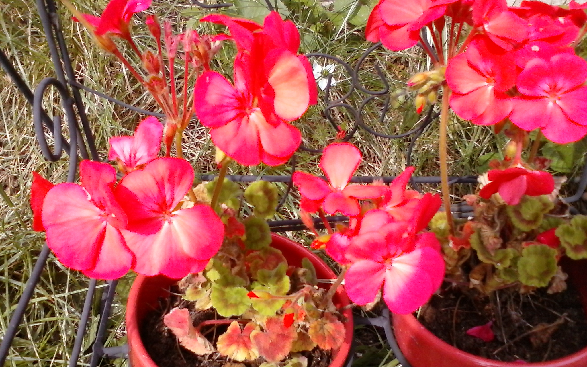 20140702_152102.jpg