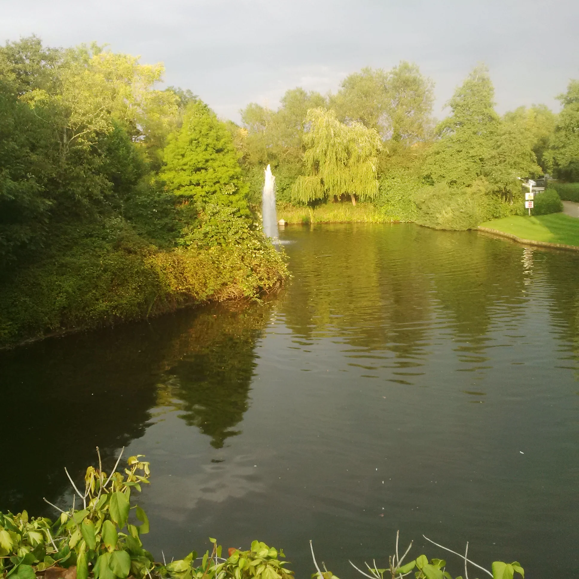 Blackberry Q5 Camera: Not bad for Social Media.