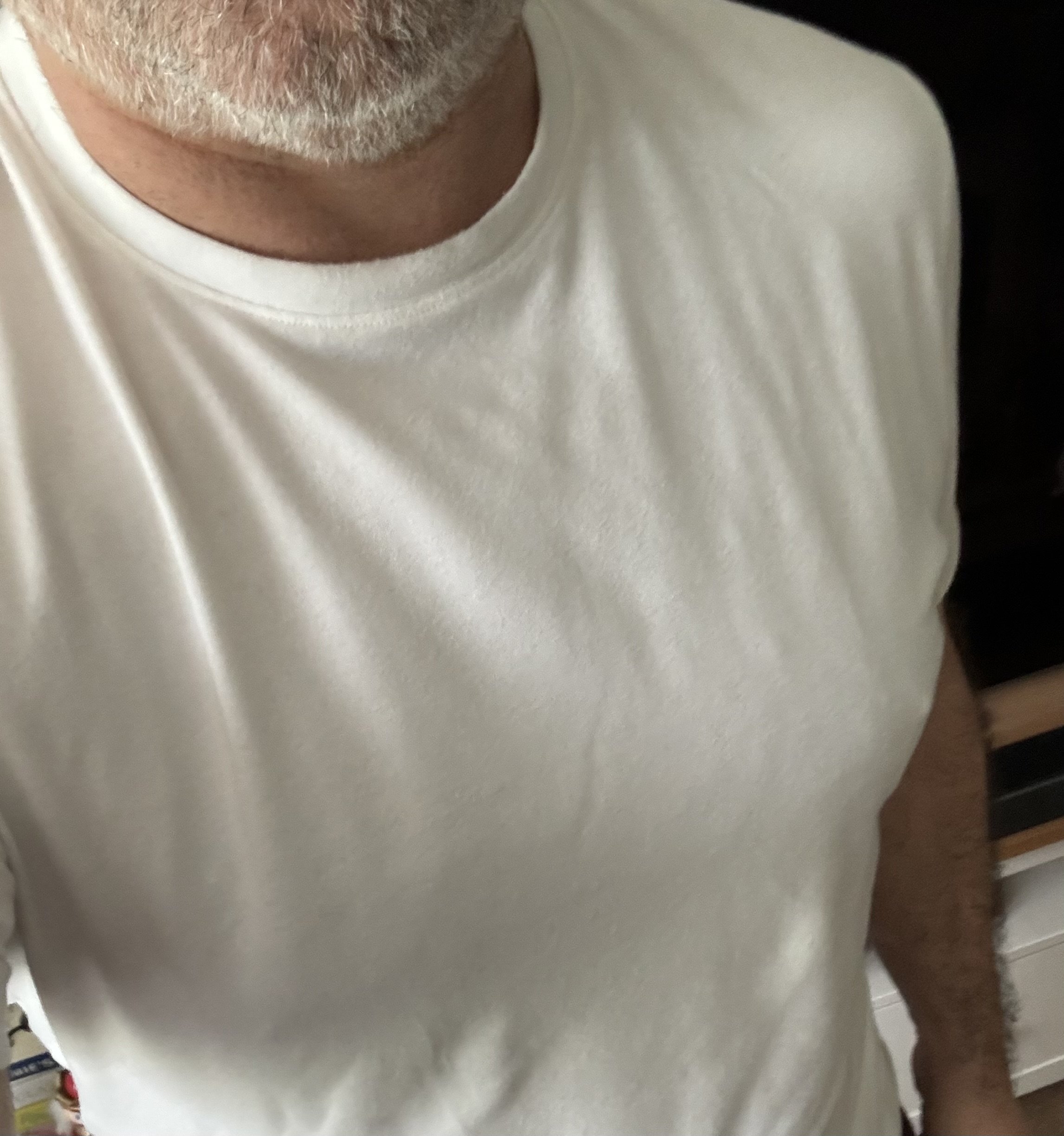 White X Cotton Tee Western Rise Size L Review