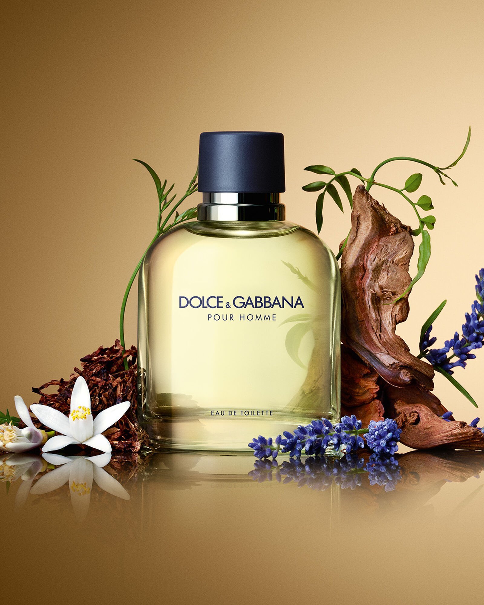 Dolce and Gabbana Pour Homme Eau de Toilette in 2023. Honest Review ...