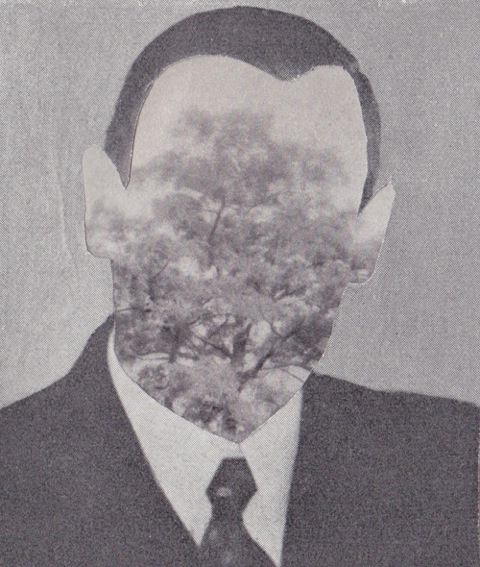 individ9.jpeg