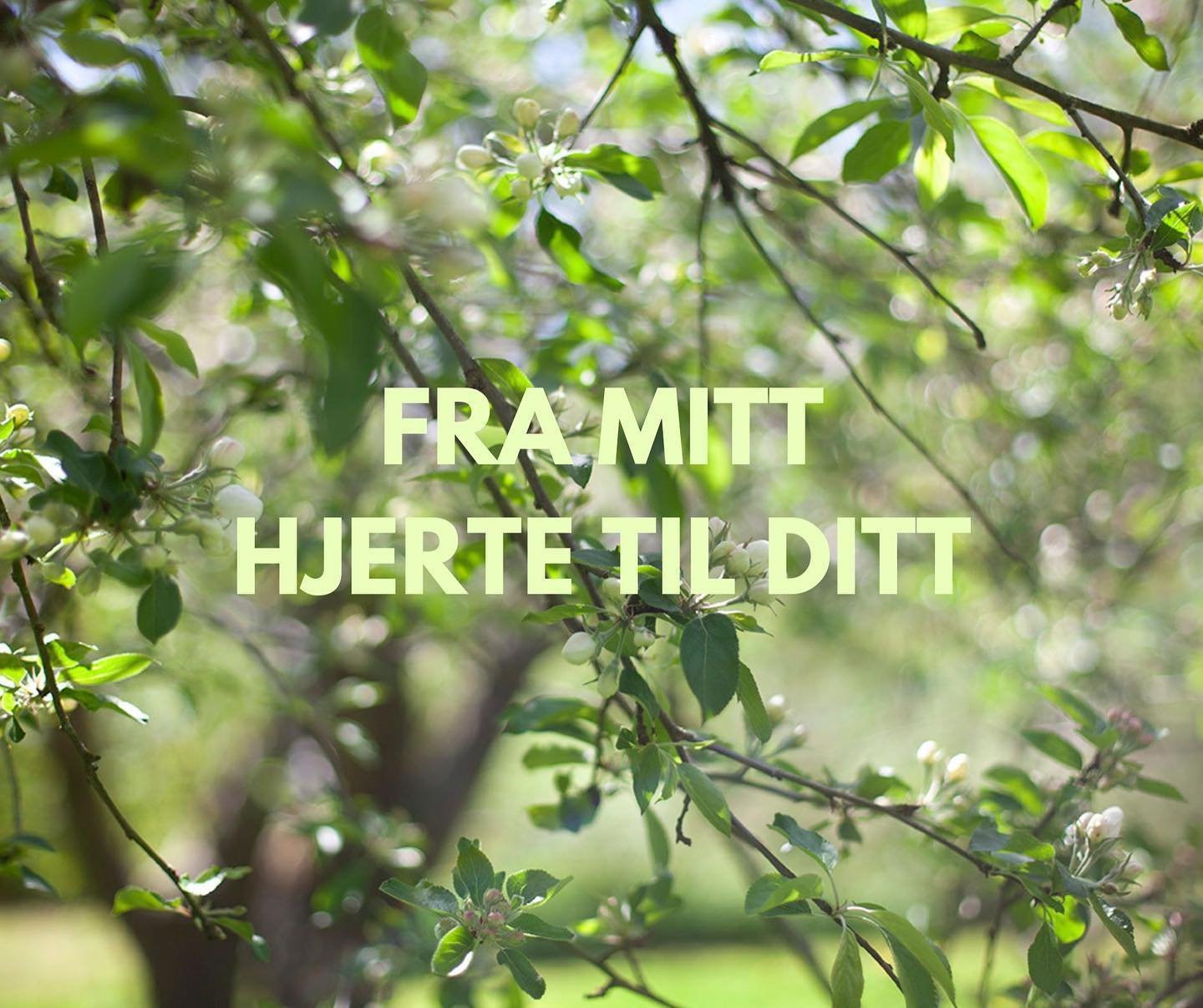 FRA MITT HJERTE TIL DITT

Her kommer en oversikt over rommene jeg inviterer til i den kommende tiden. Kanskje du har lyst til &aring; m&oslash;te meg i et av dem?

🌿V&Aring;RLYS

Heldagssamling p&aring; Sydfyn den 11. Mai. Vi m&oslash;tes for &aring