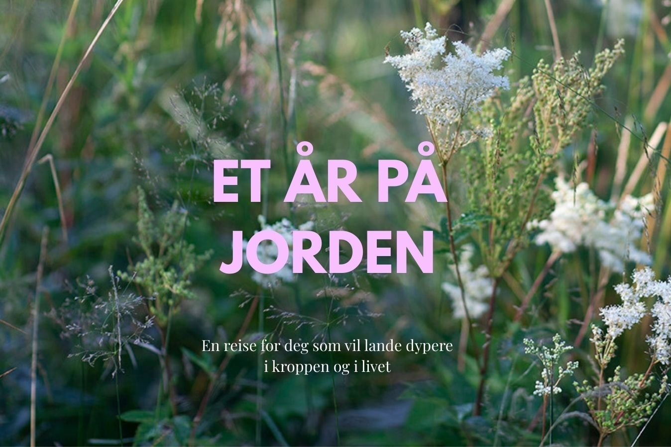 ET ÅR PÅ JORDEN - Fysisk forløp