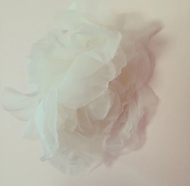 photo 4.PNG