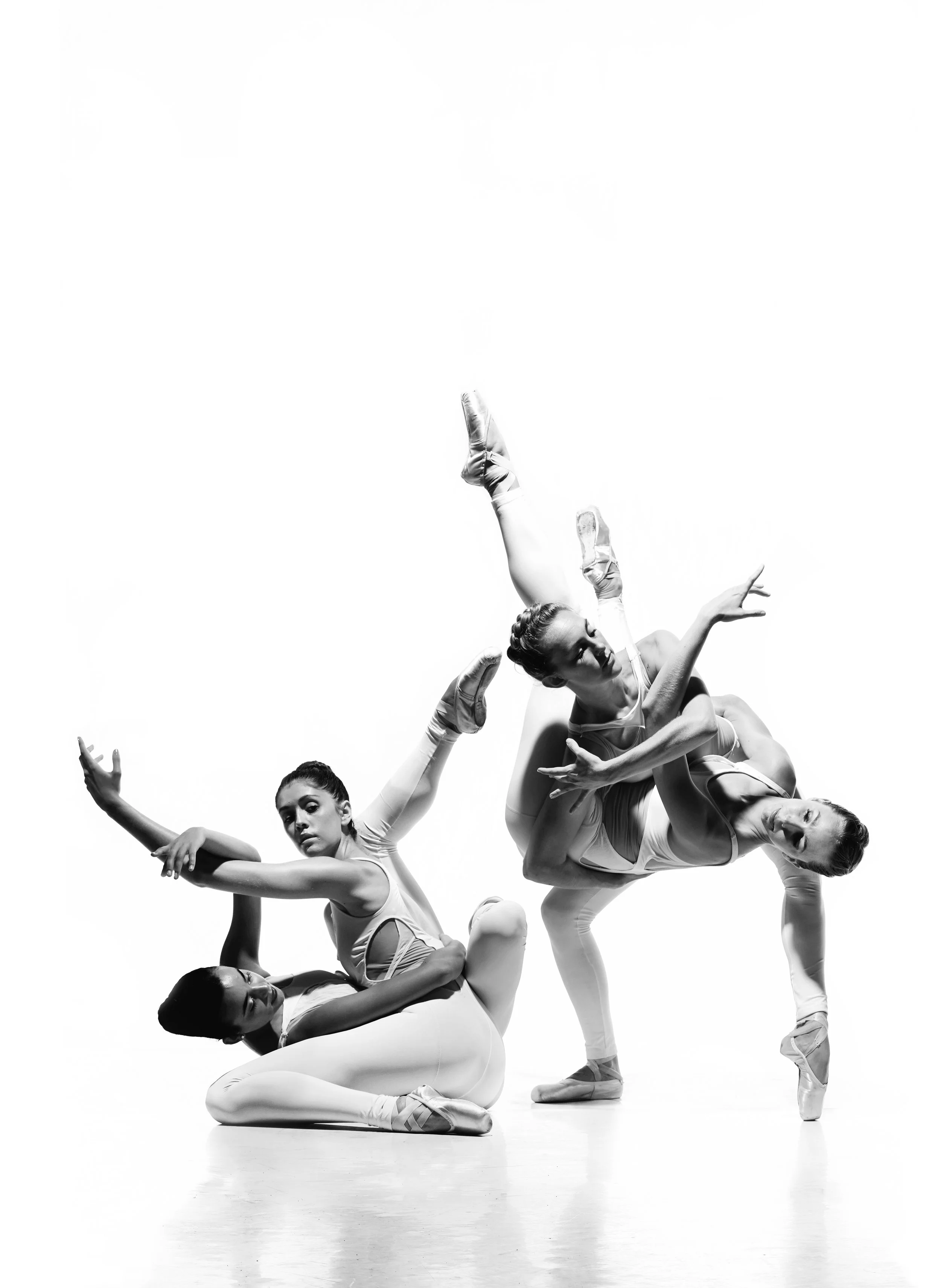 NCB-EPatino_Sept2019_high_B&W.jpg