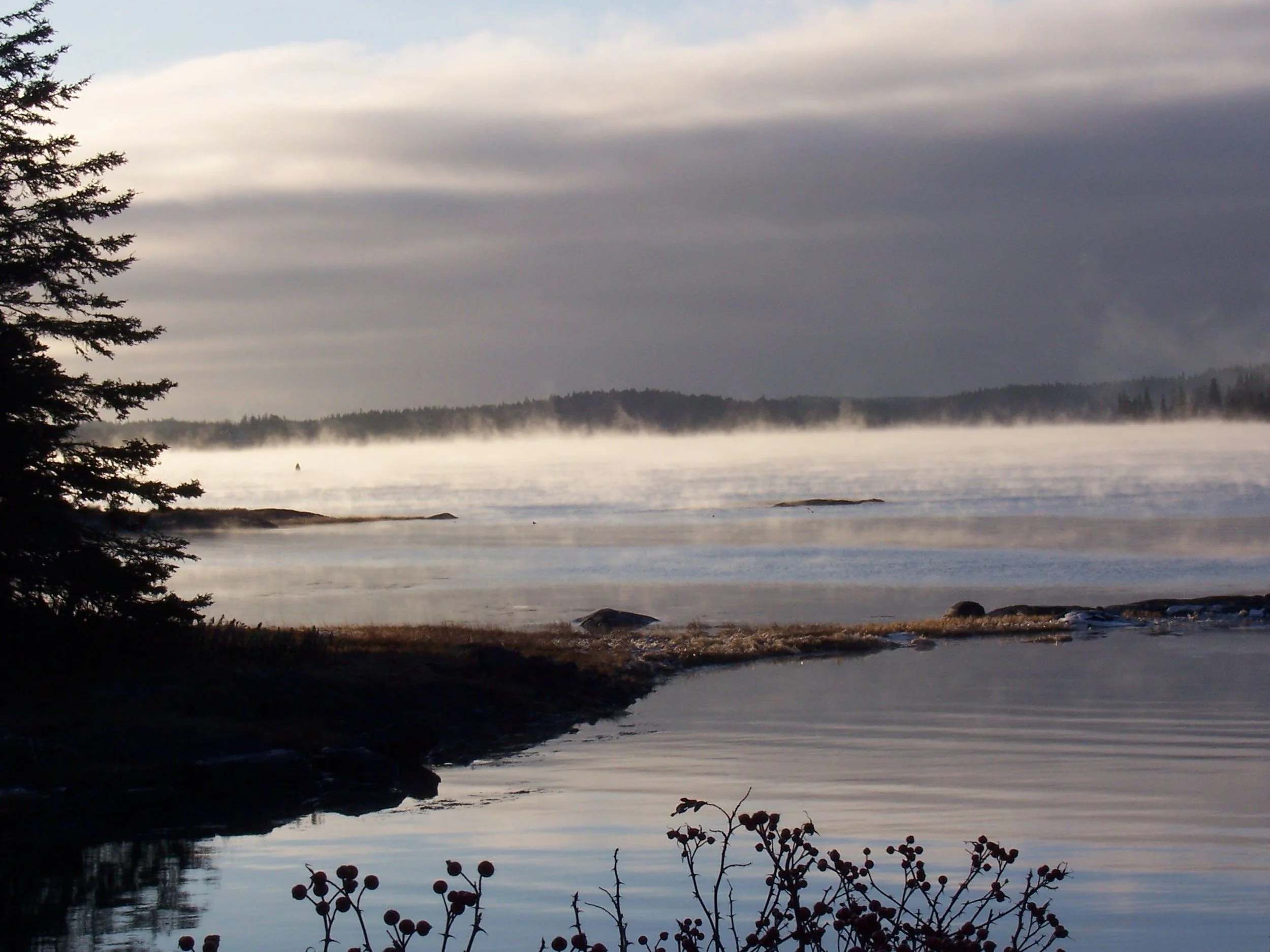 winter on the island.jpg
