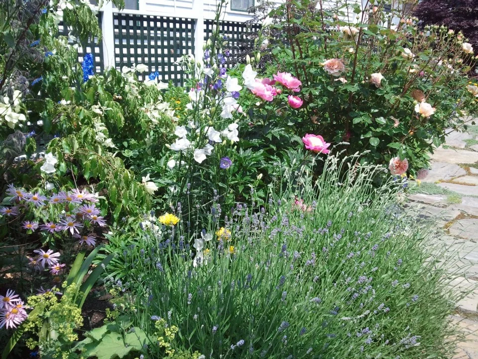 gardeninbloom.jpg