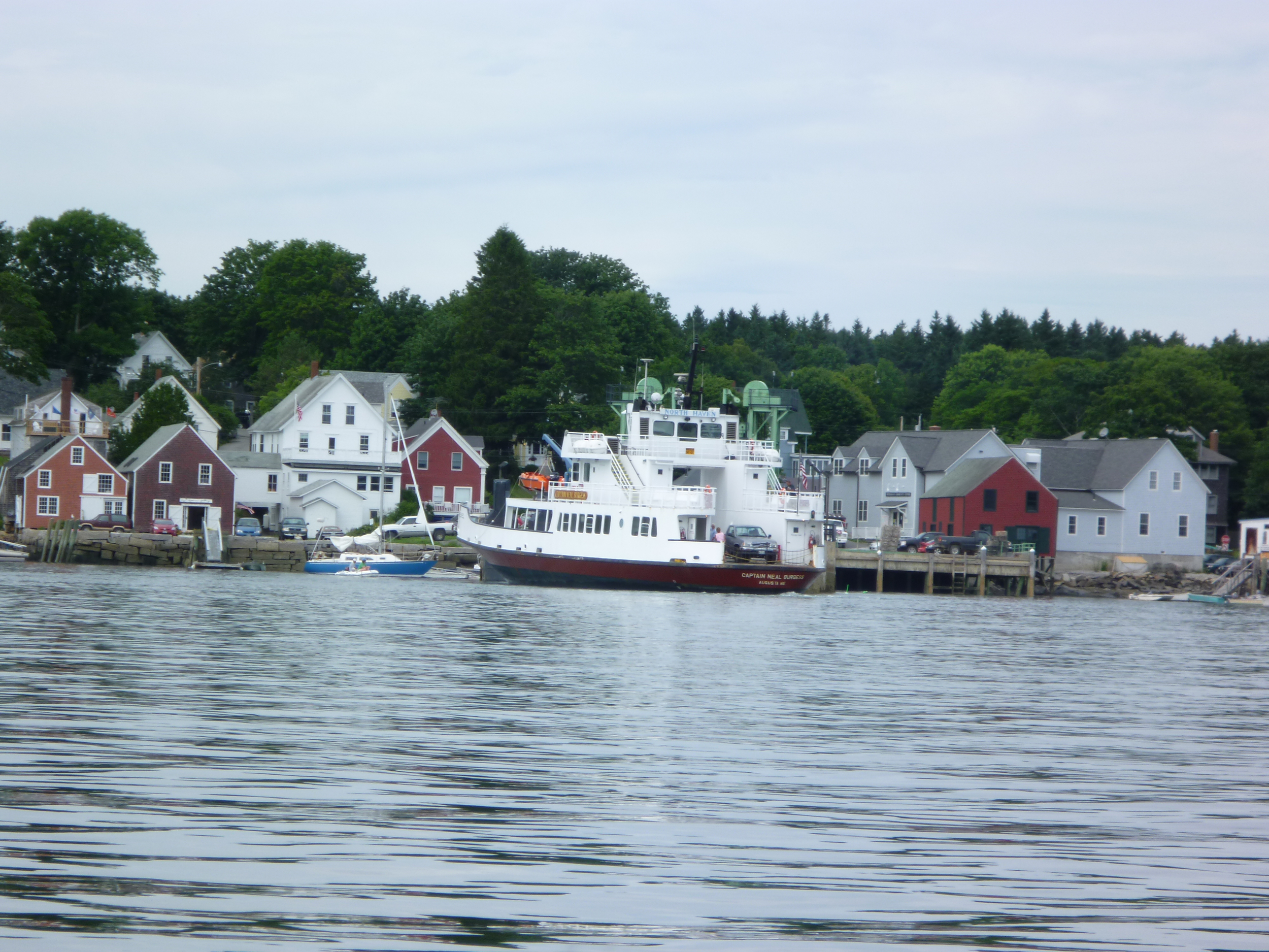 P1000398.jpg