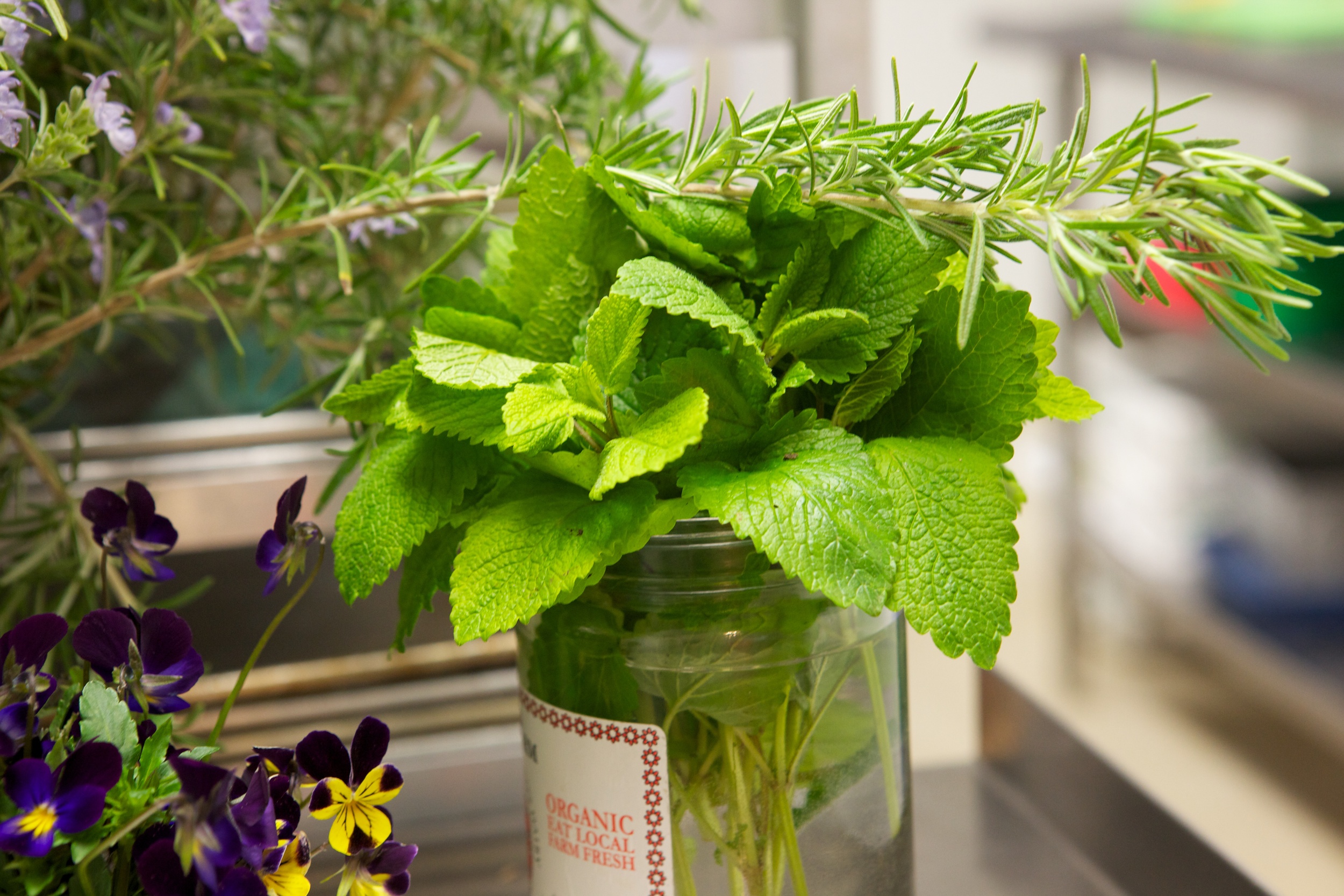_MG_1782.jpg