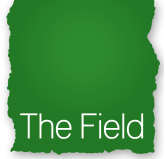 Field.jpg
