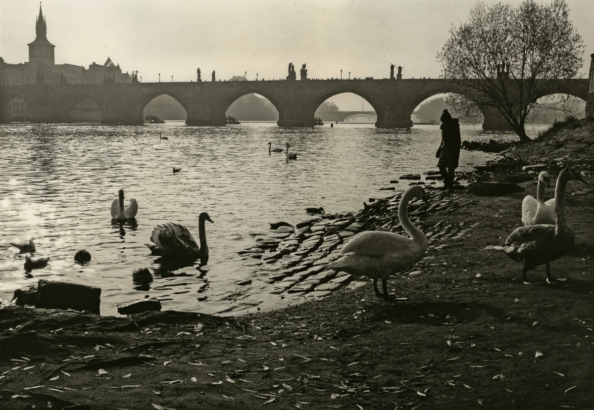 By the River, Prague 2013