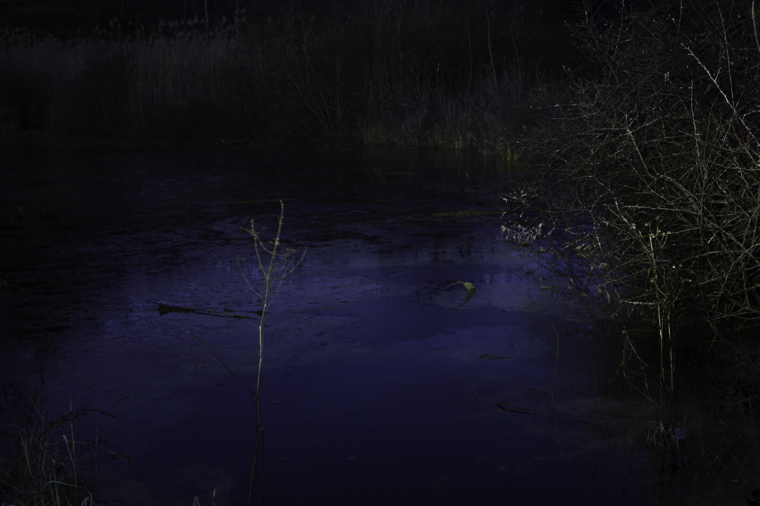 Mendon.Ponds.night.pond.jpg