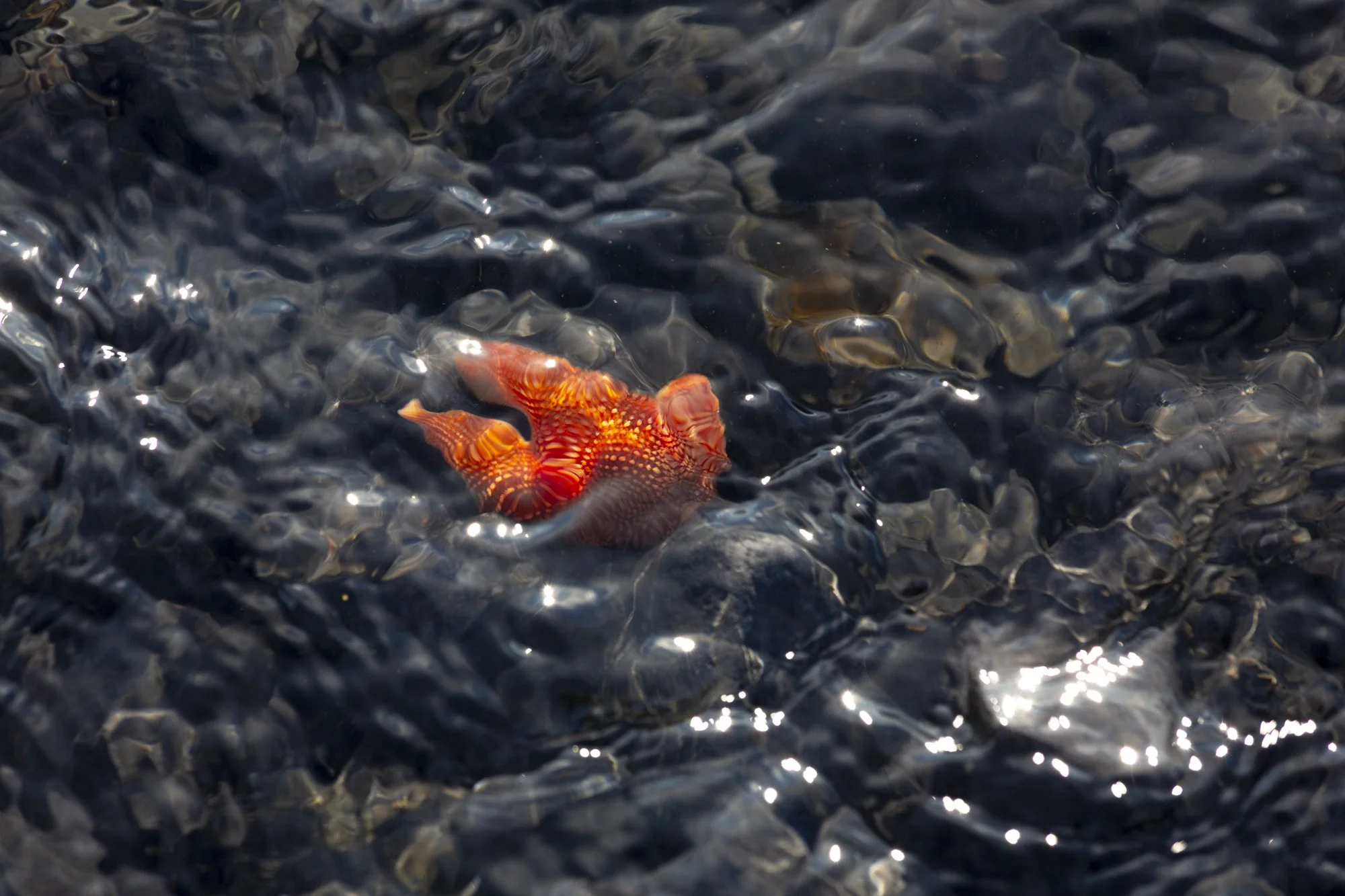 Mikuskova_Heart of Darkness-10.jpg