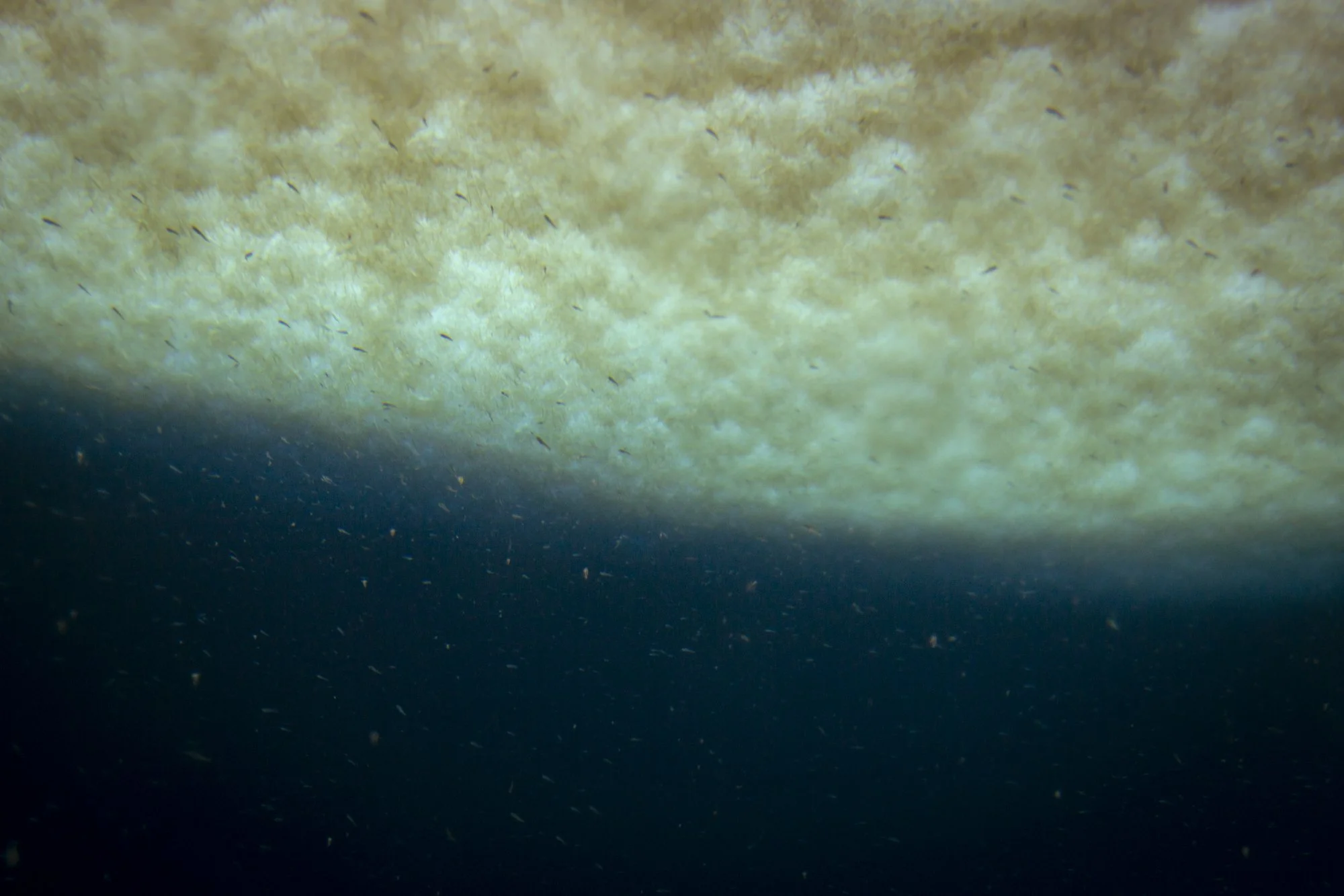 Mikuskova_Heart of Darkness-15.jpg