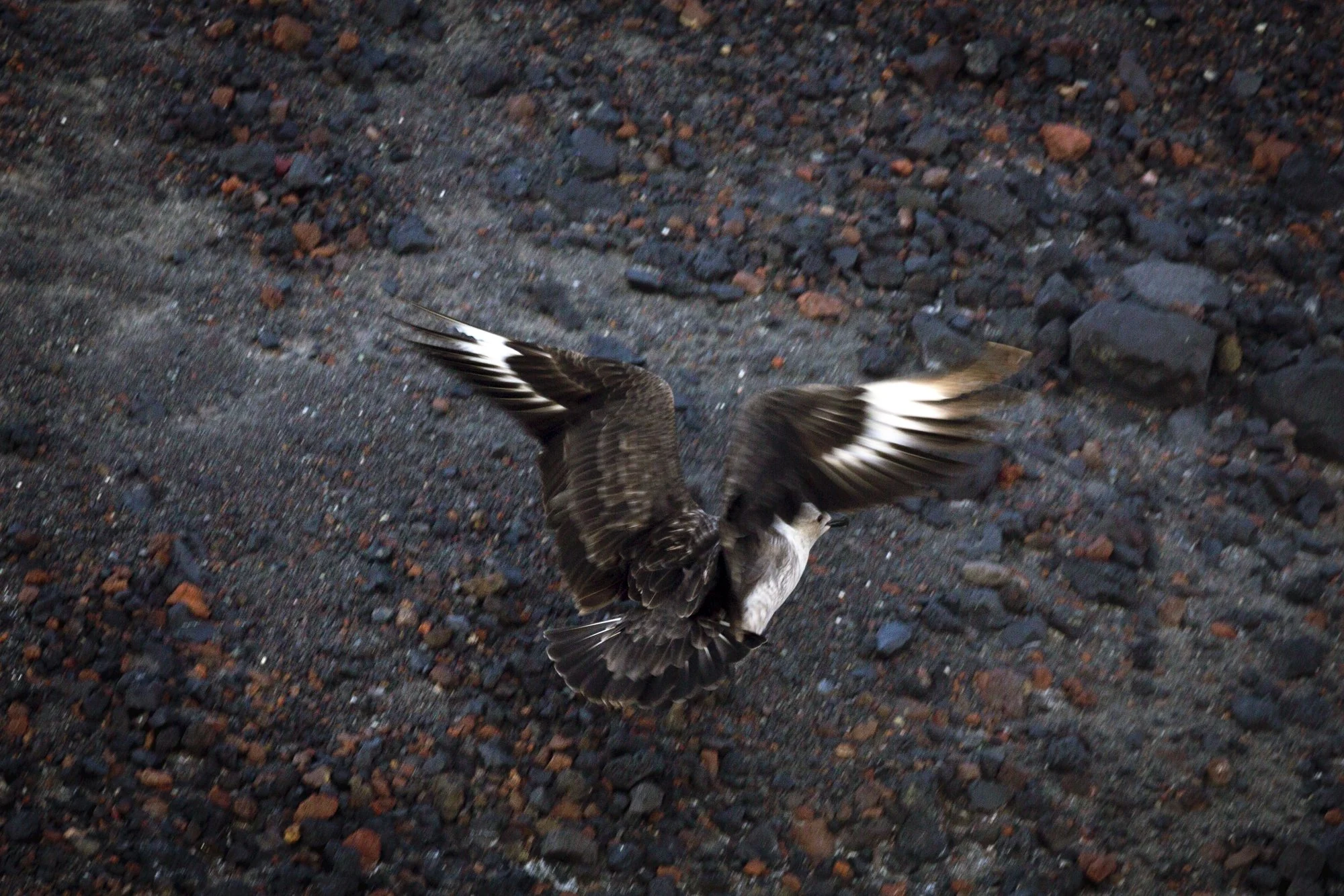 Mikuskova_Heart of Darkness-19.jpg