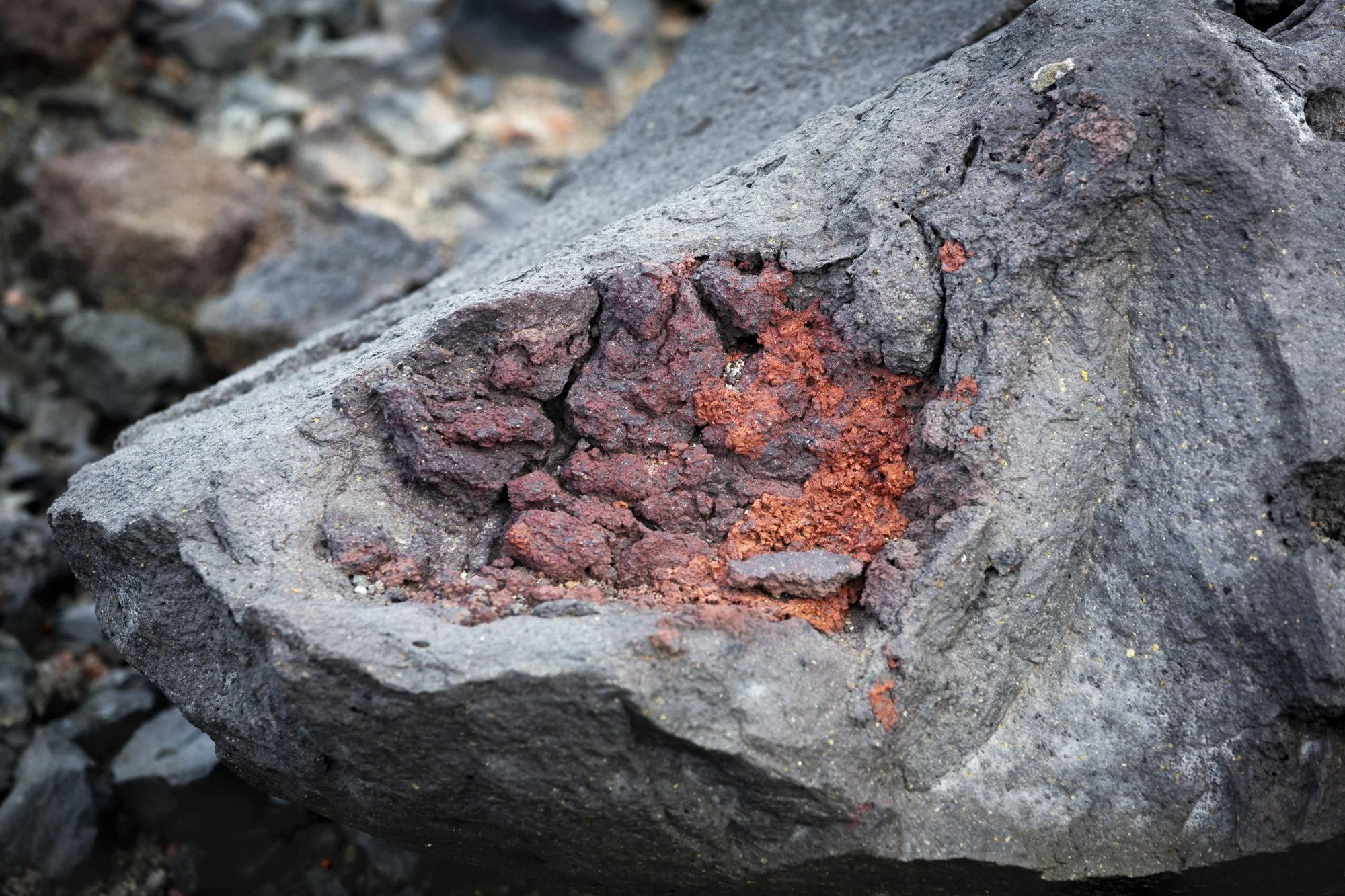 Mikuskova_Heart of Darkness-22.jpg