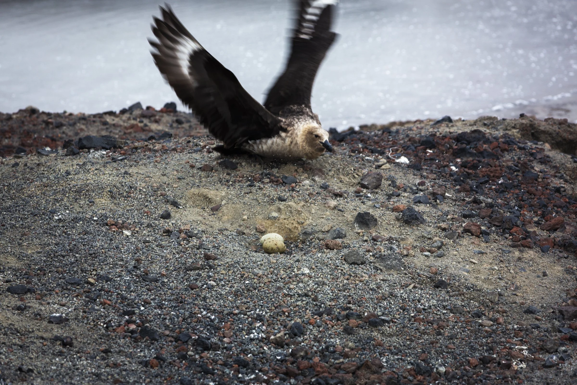 Mikuskova_Heart of Darkness-27.jpg