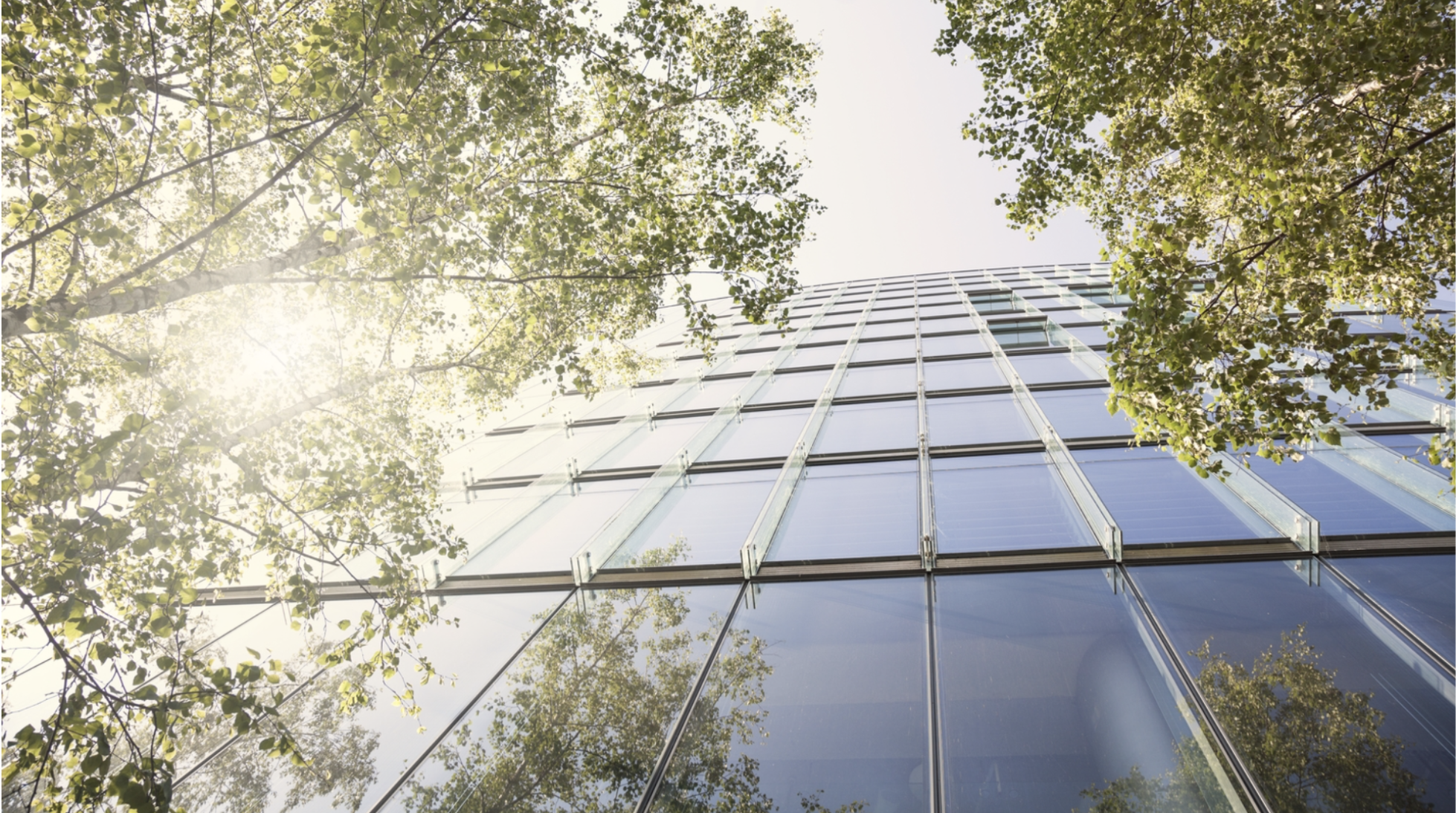 Benchmarking and Energy and Water Reporting