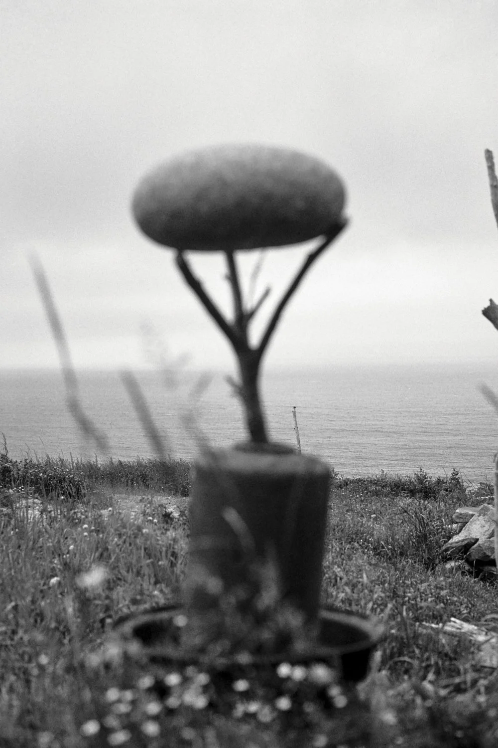 Clark Winter_Free Air (2 of 5).jpg