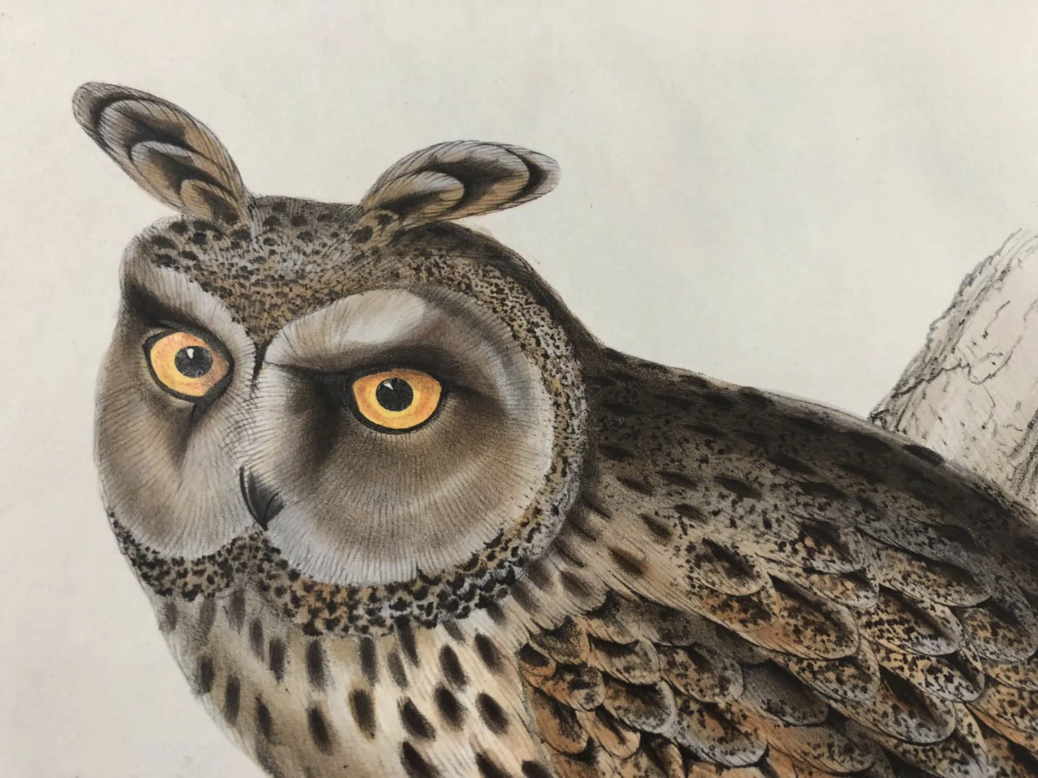 Clark Winter_BIRDS (2 of 6).jpg