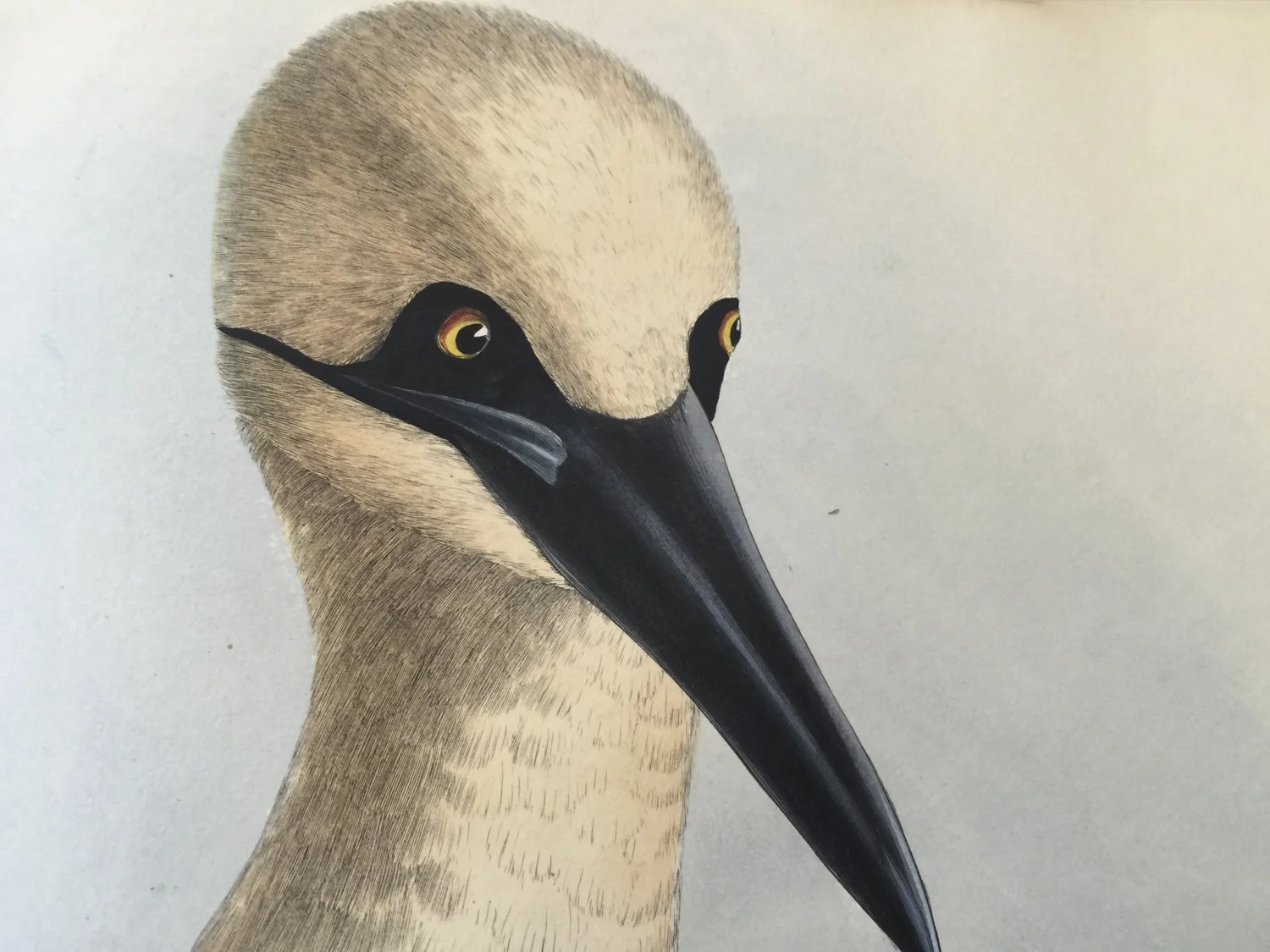 Clark Winter_BIRDS (5 of 6).jpg