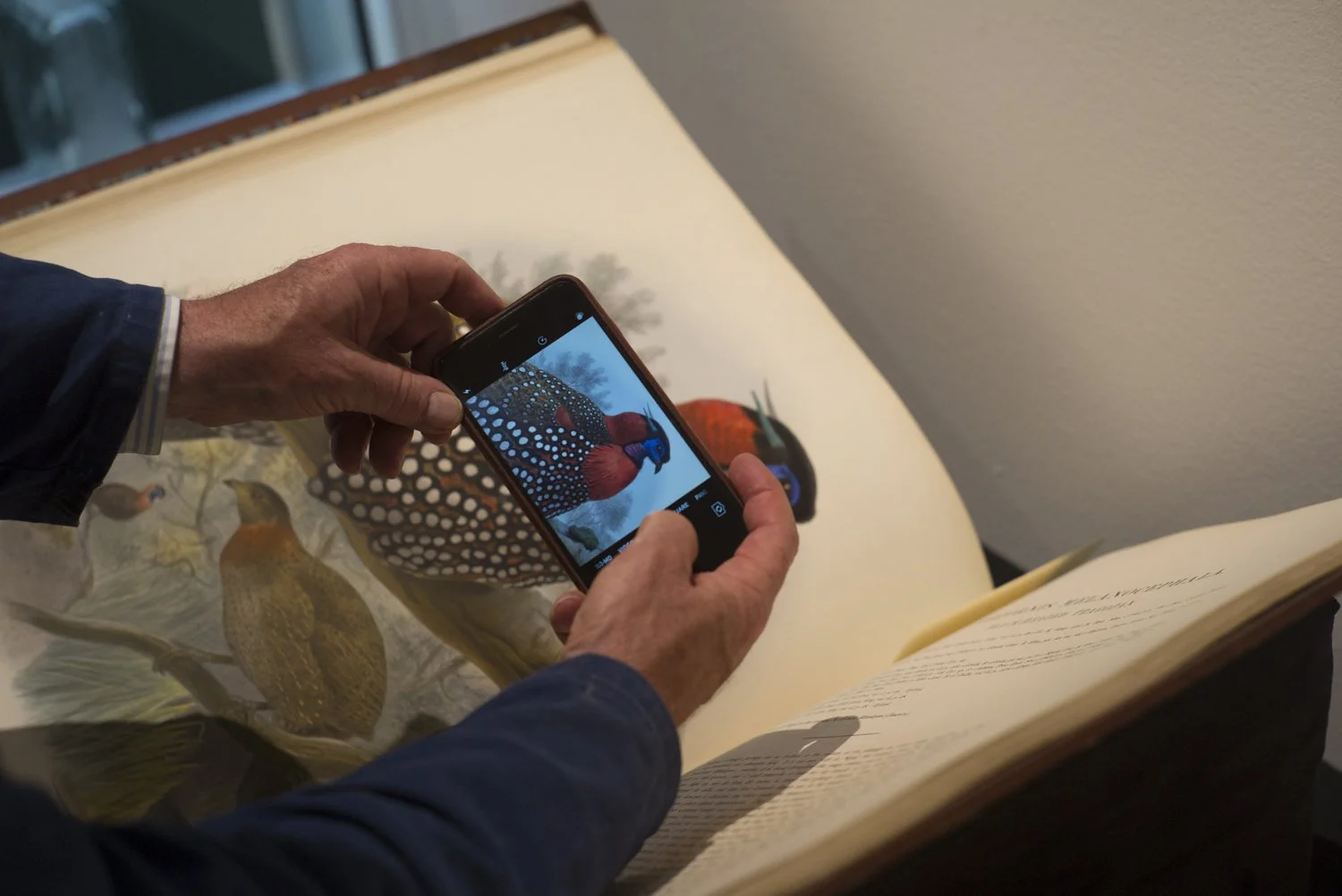 Clark Winter_BIRDS (6 of 6).jpg