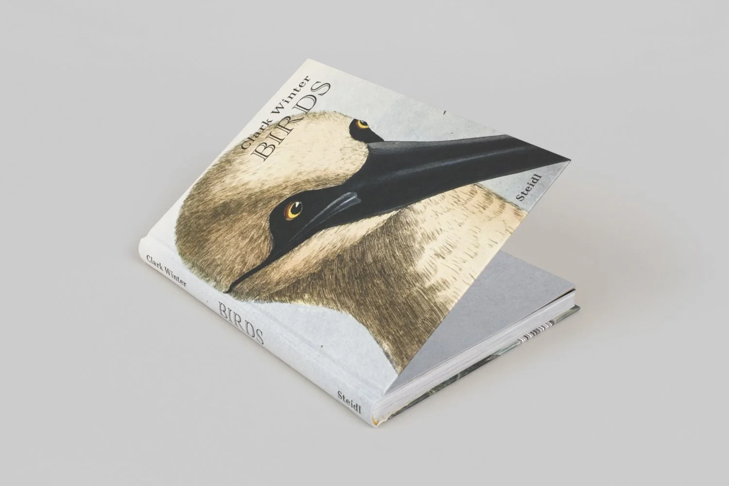 Clark Winter_BIRDS 1.jpg