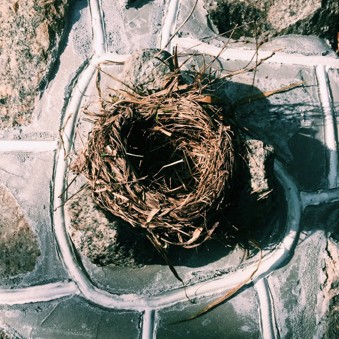 Are You Trapped by the Life You've Built? 