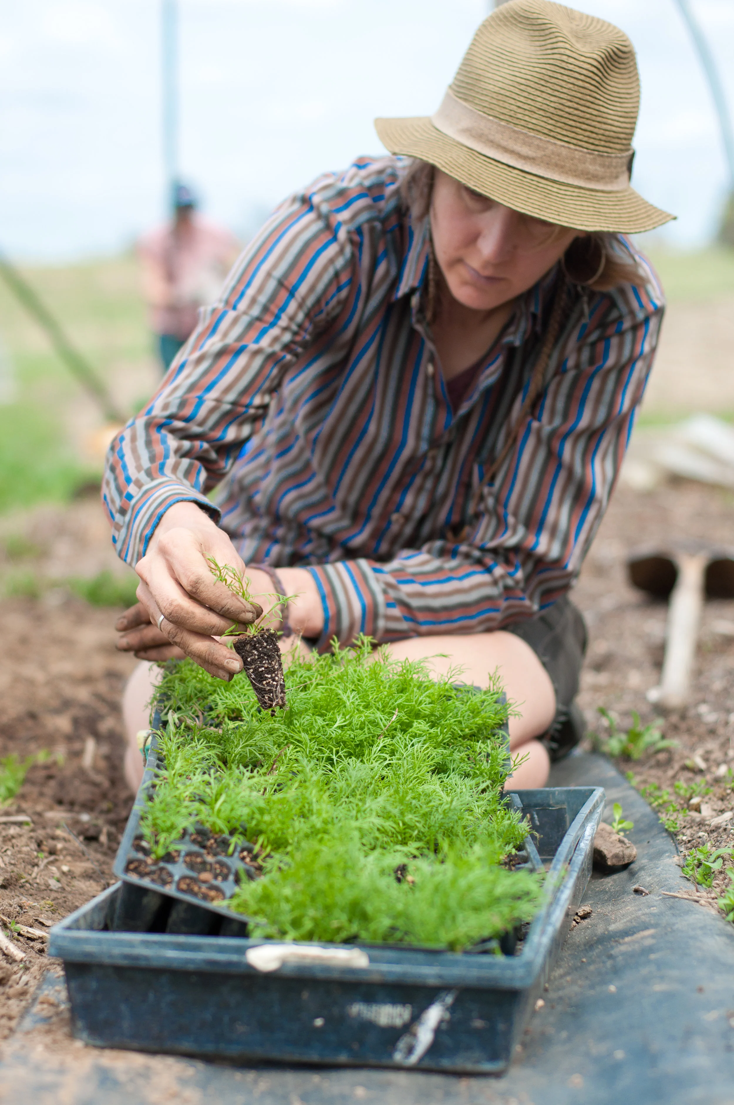 Re-Wild Series | Holly Poole-Kavana: Plant Powered 