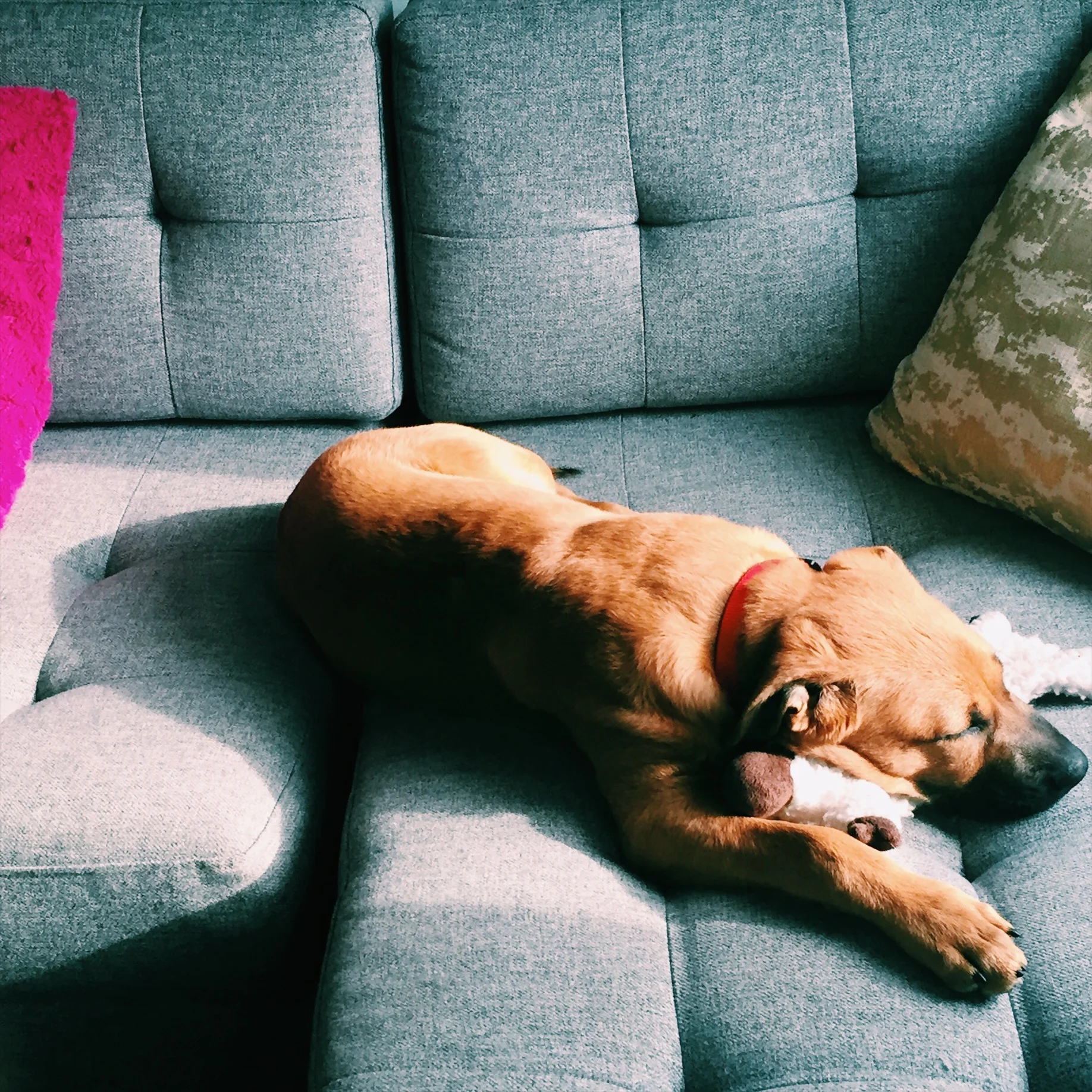 So You Slept Terribly and You're Exhausted. Now What? 