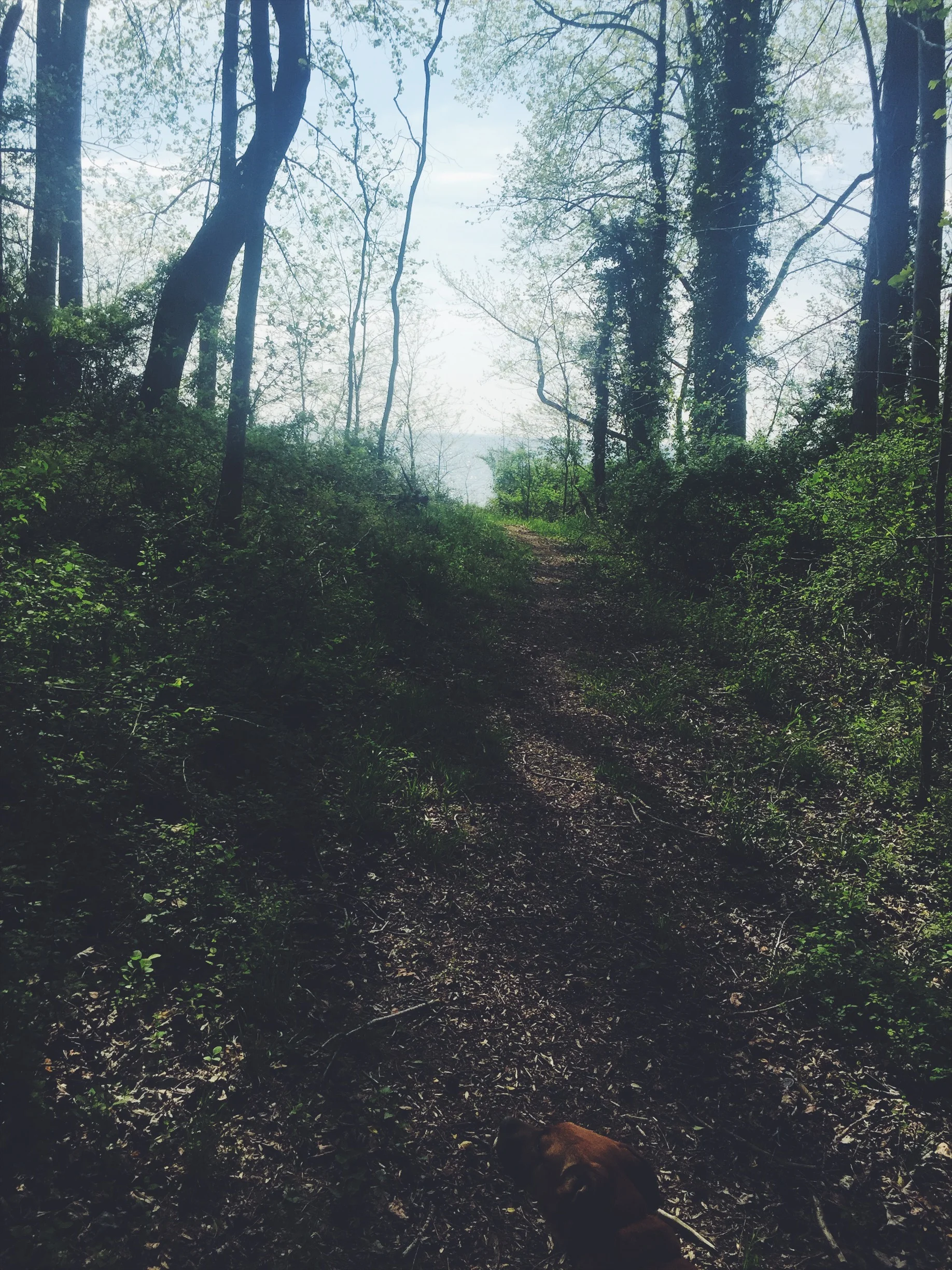 8 Easy Ways to Get Grounded 