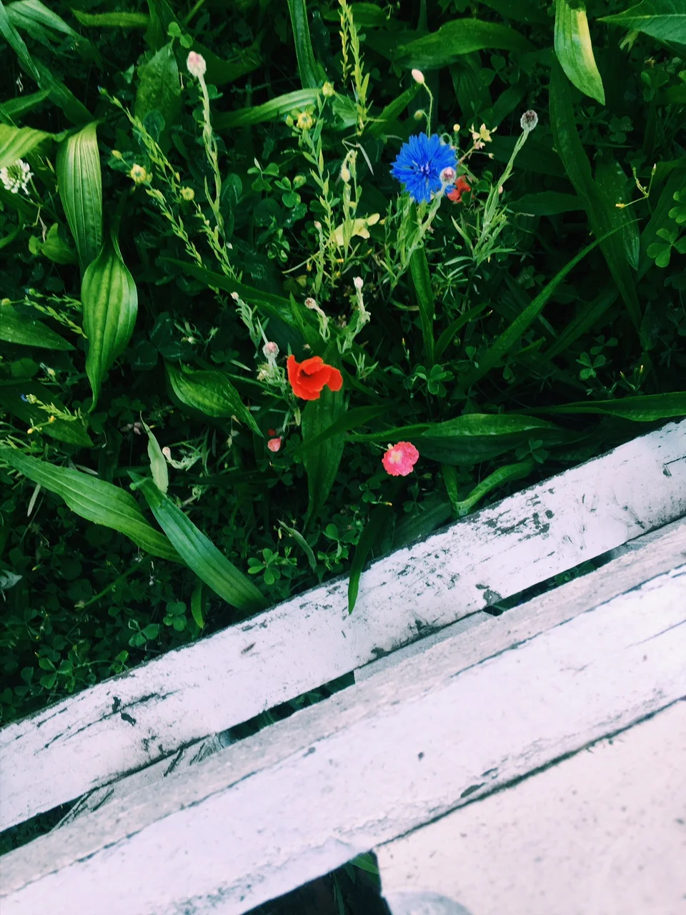 7 Things I Learned from a 3-Week Instagram Detox 