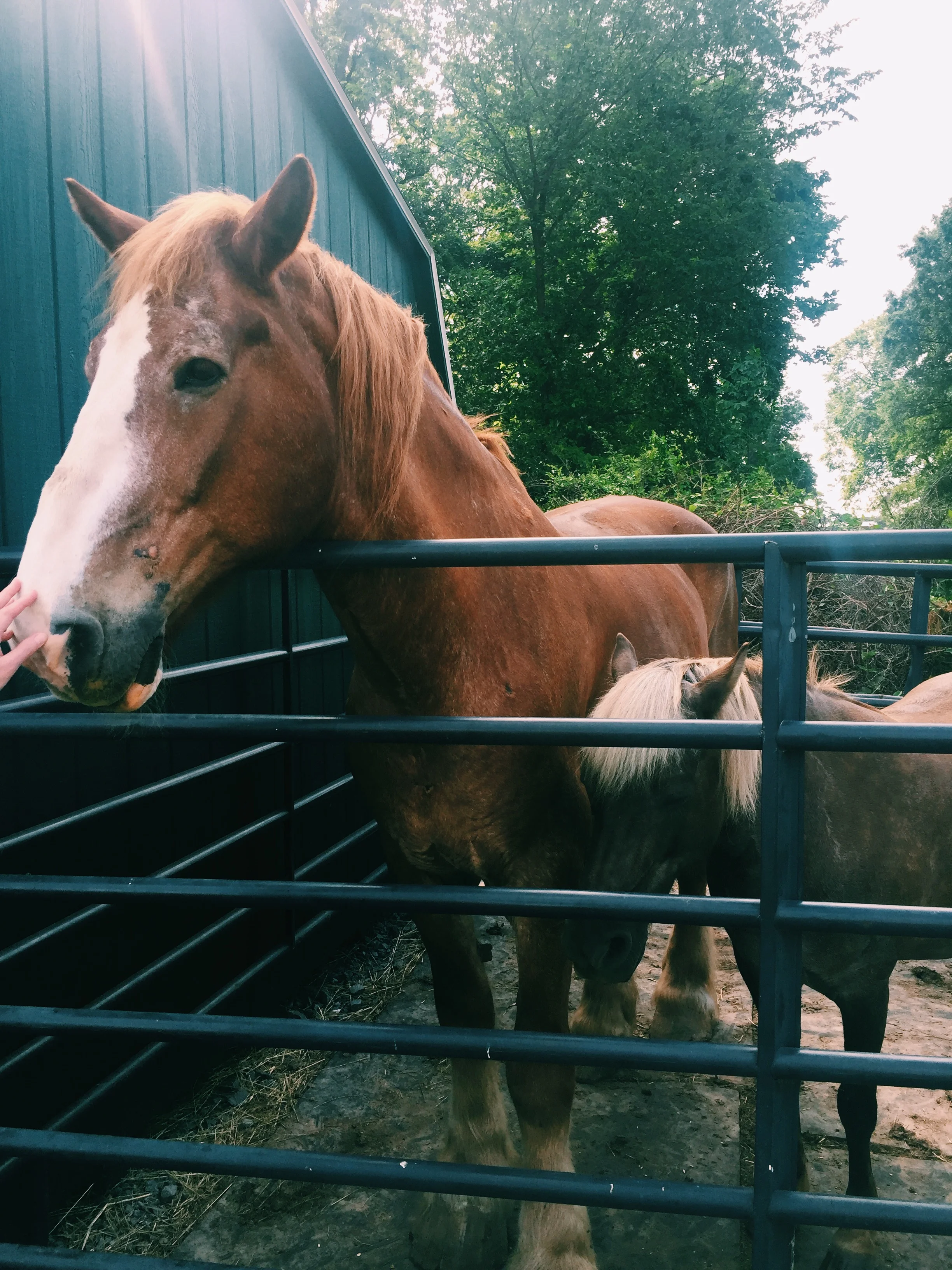 Magnificent Monday | Episode 3