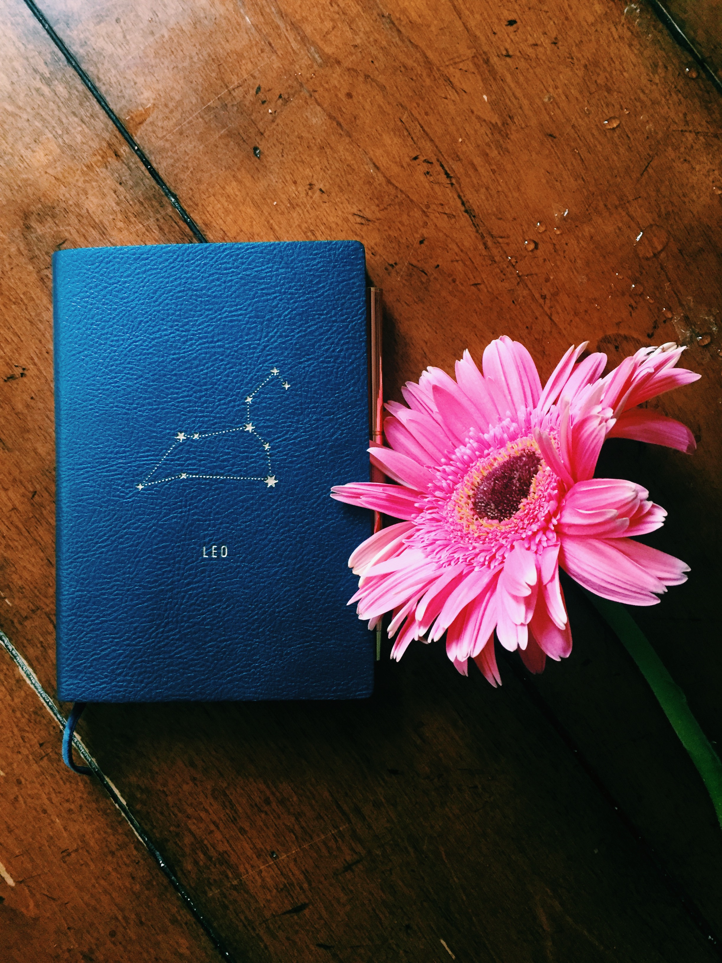 Total Eclipse of the Heart (and Sun) 