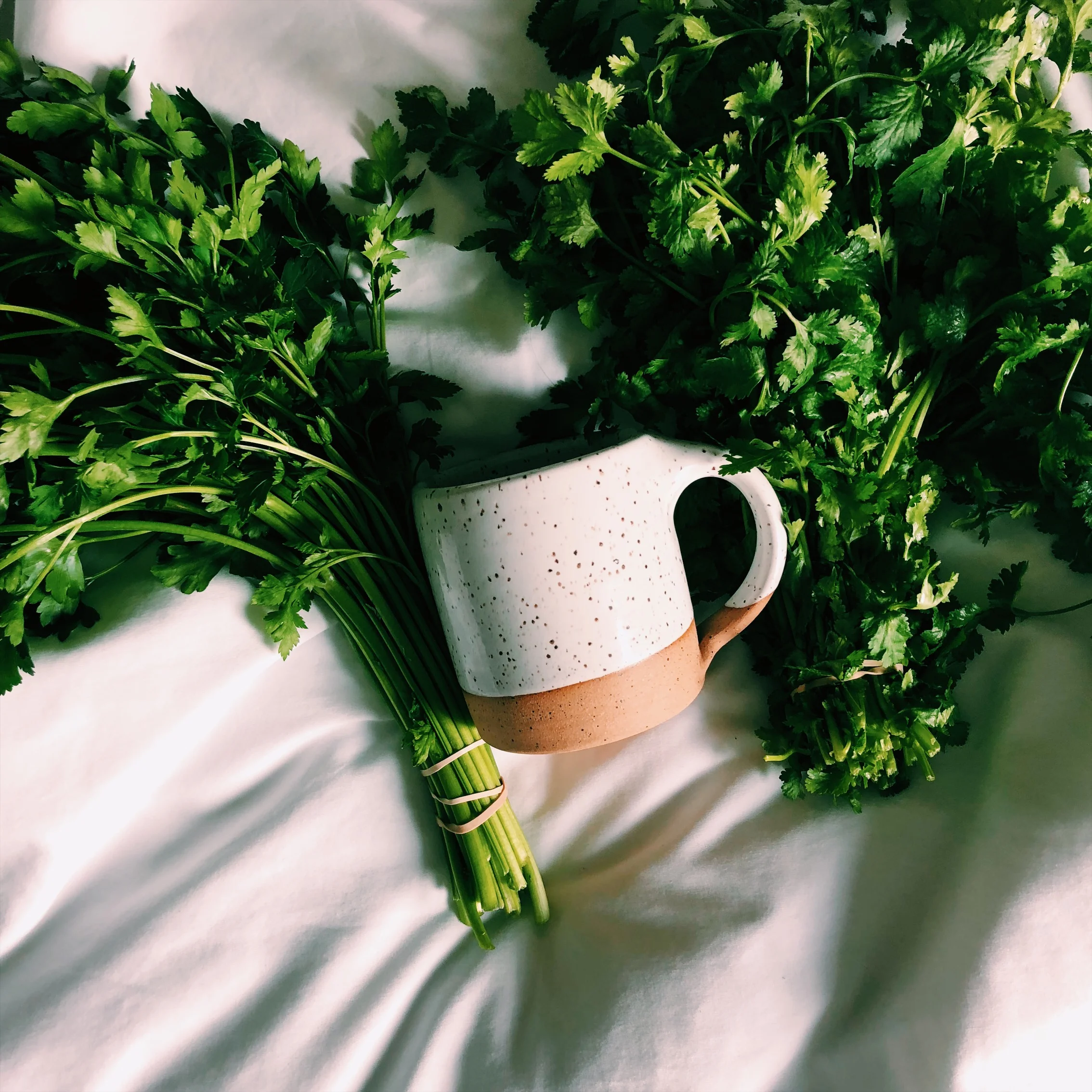 Magnificent Monday | Episode 17