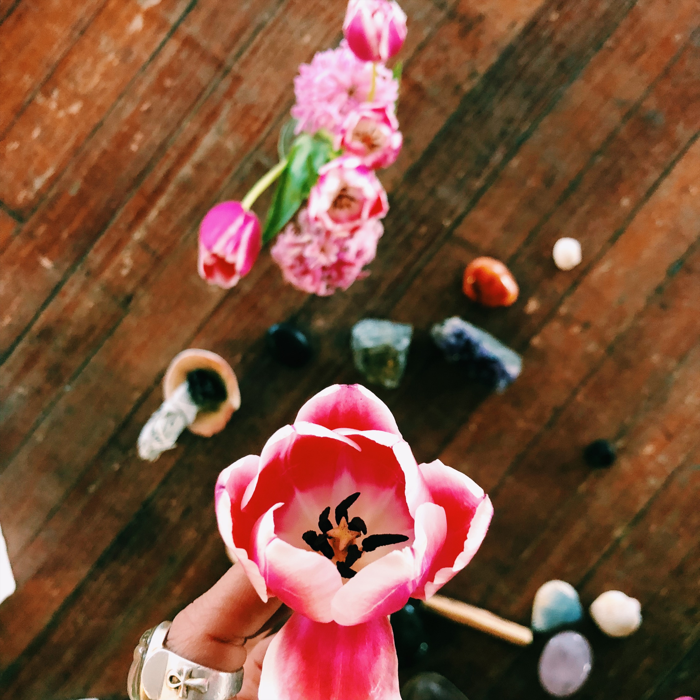 The Freedom of Frivolity 