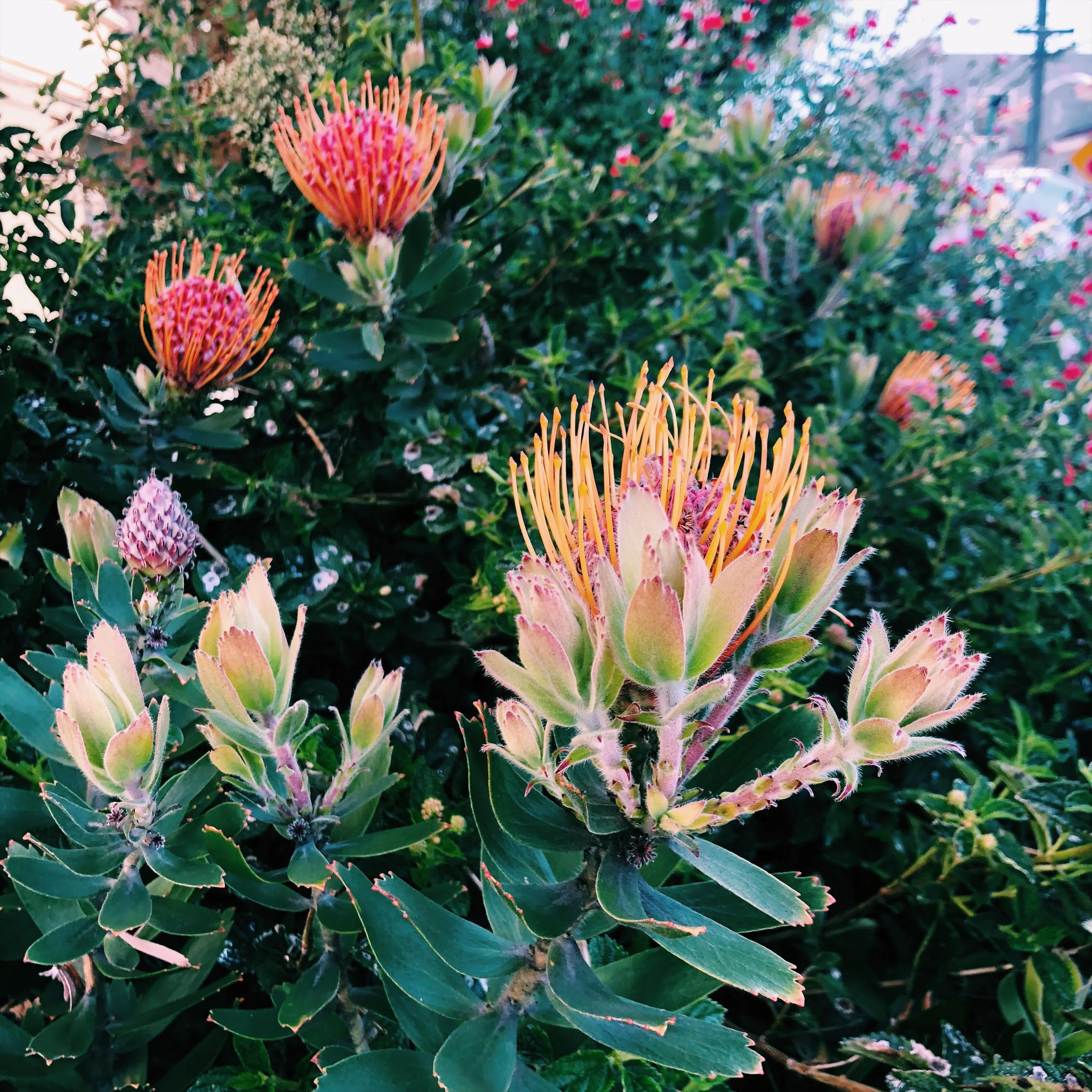 When You Pray, Move Your Feet 