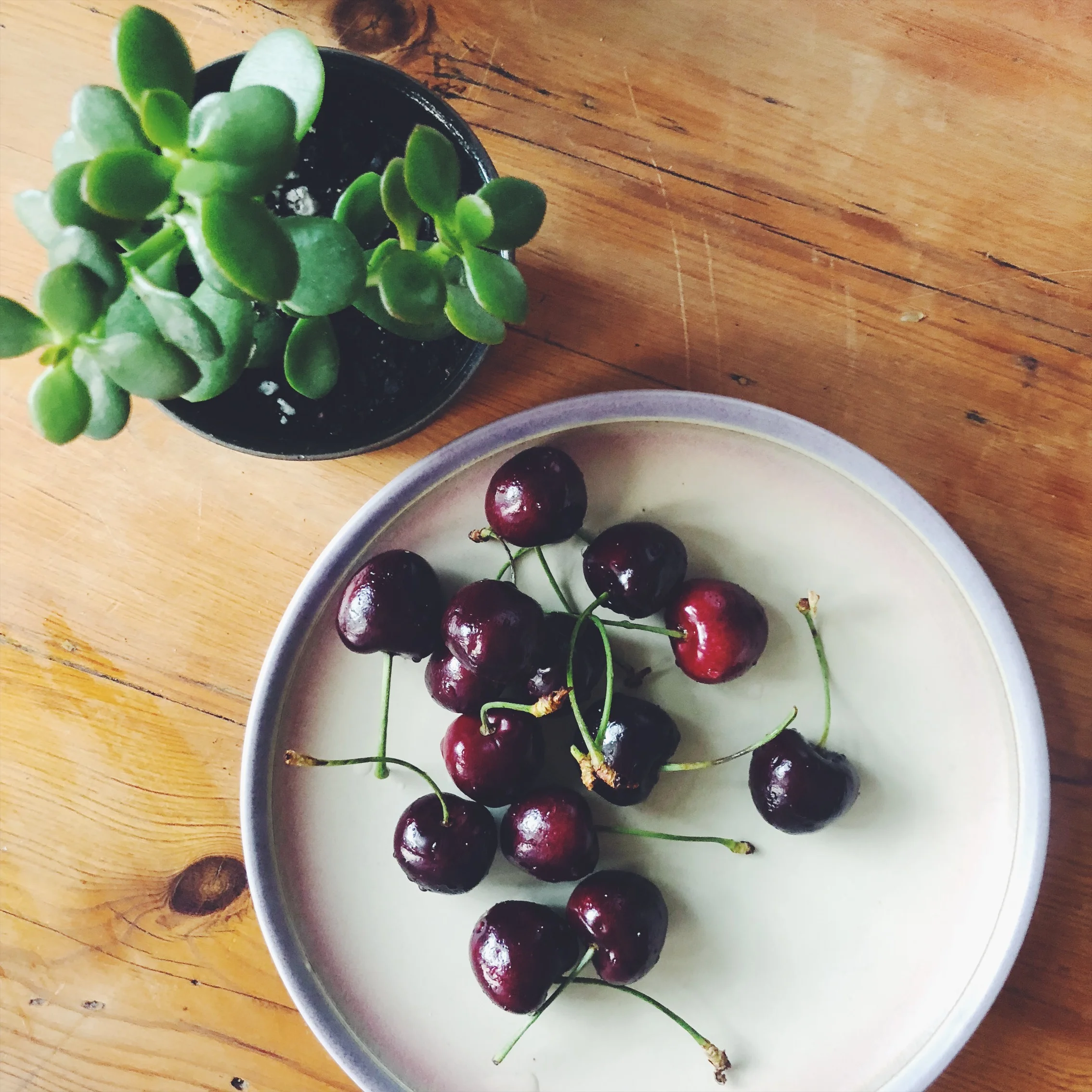 In Cherries I Trust 
