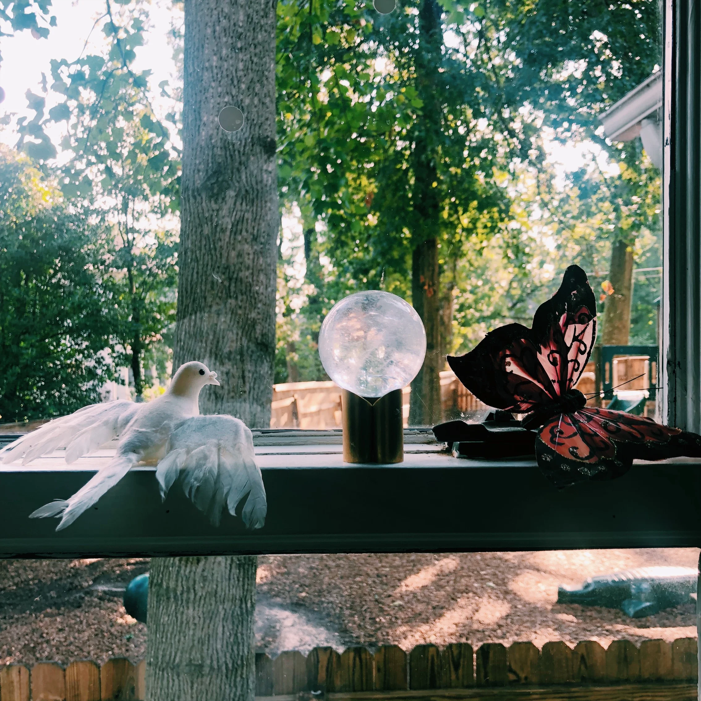 I Suggest Taking The Curriculum