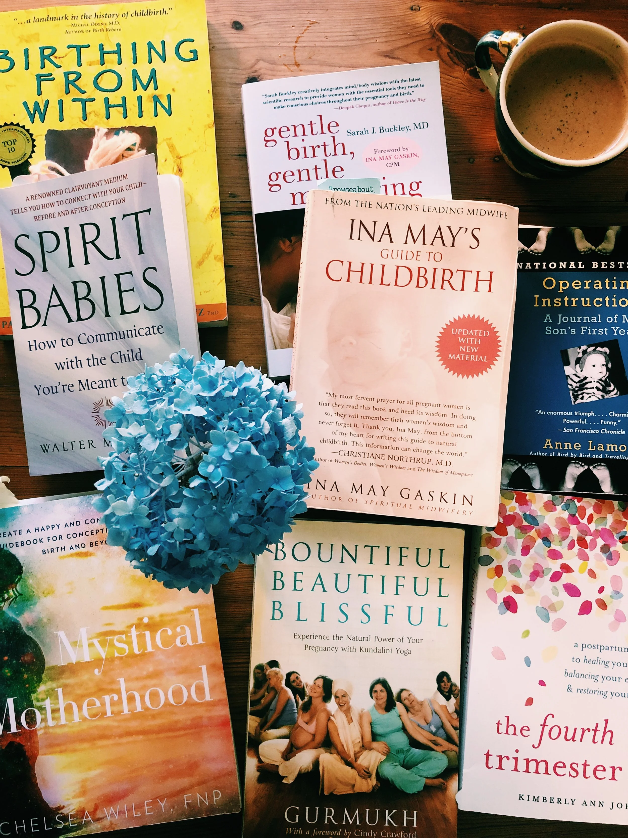 Pregnancy Resources for Mamas and Future Mamas