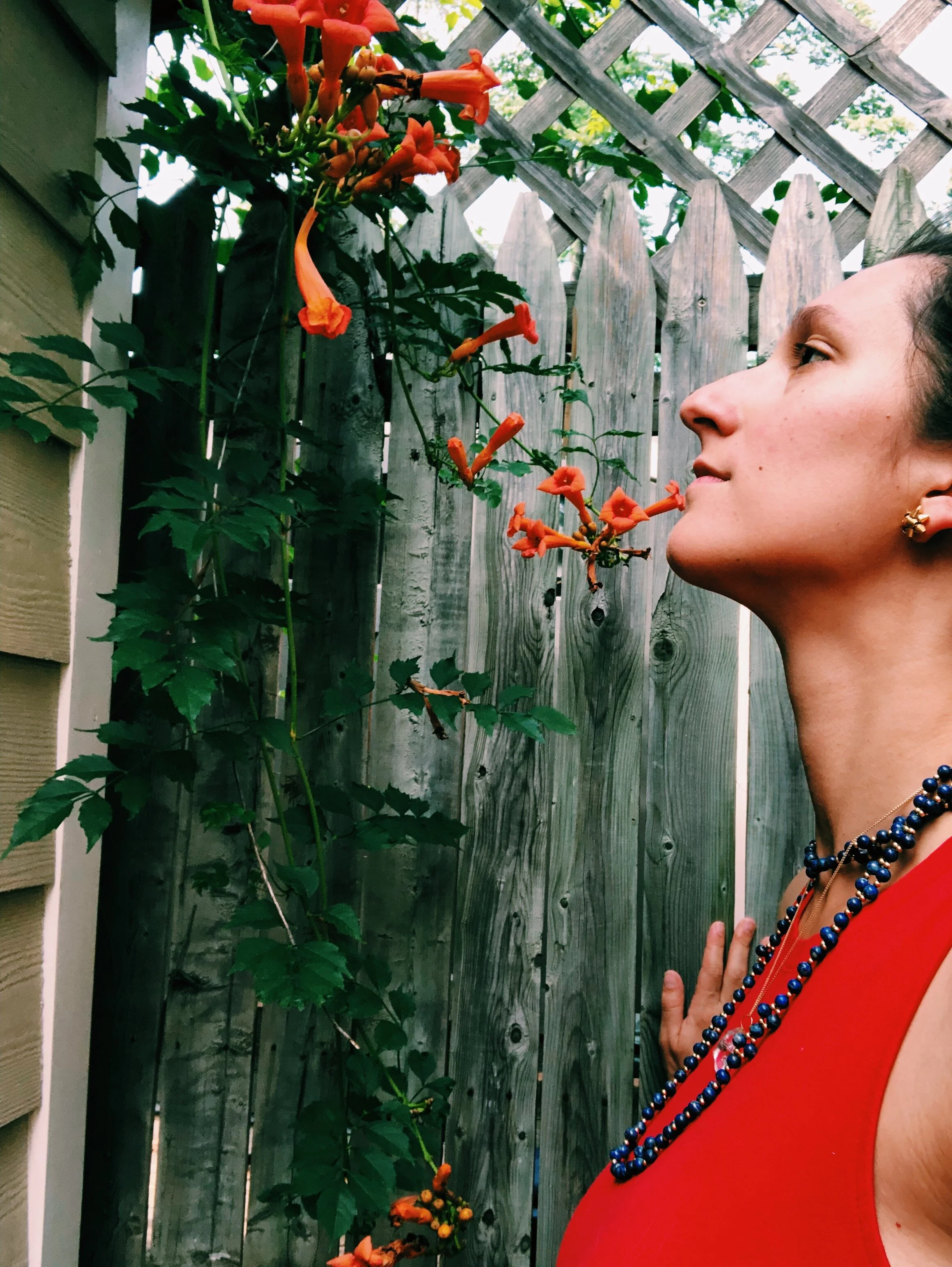 The Gifts of Impermanence 