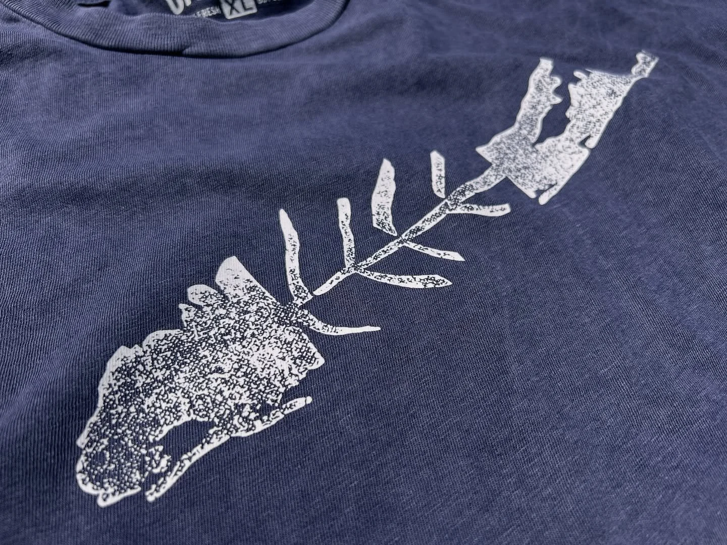 Carletonclothing.com