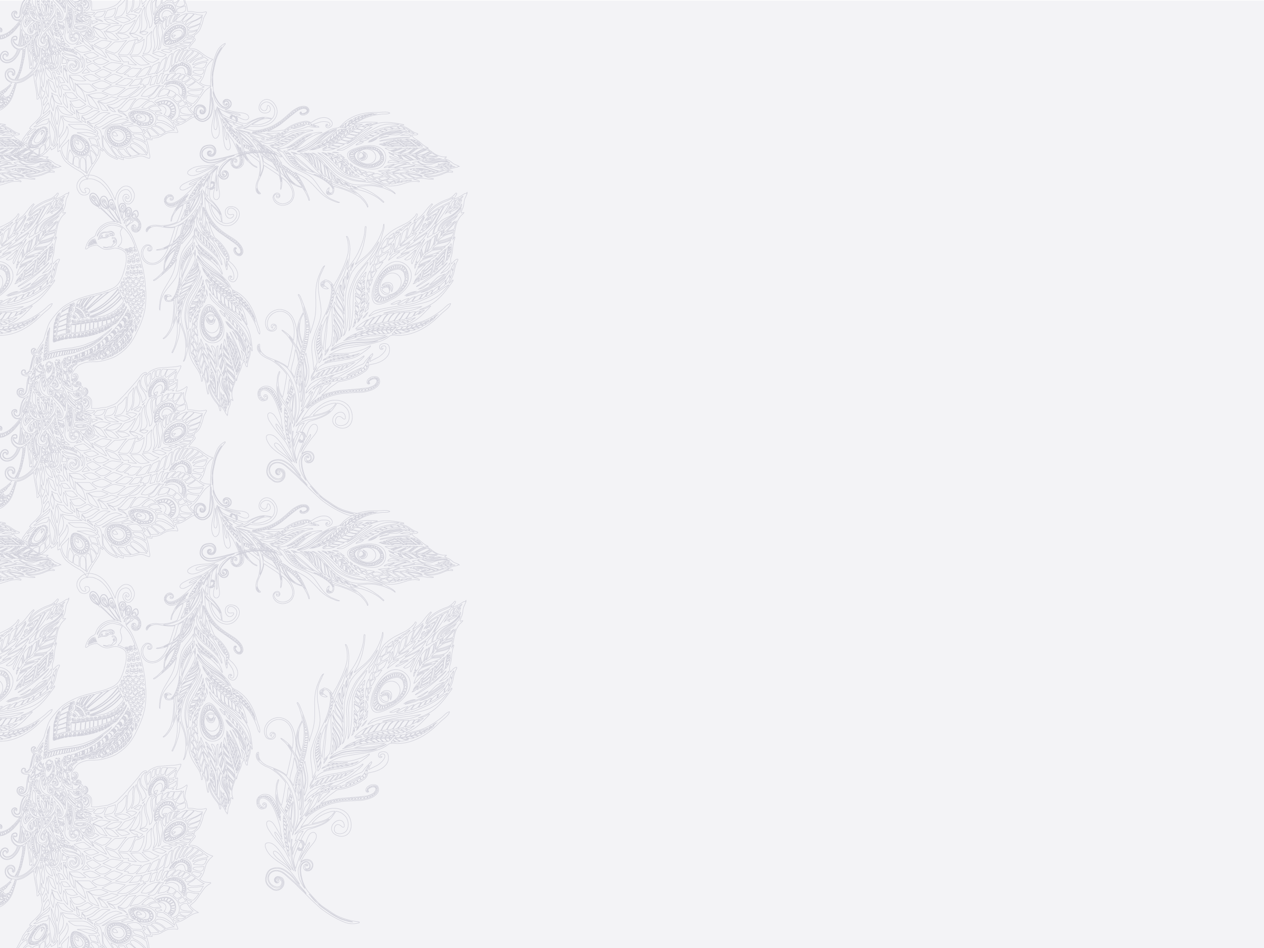 bg3.png