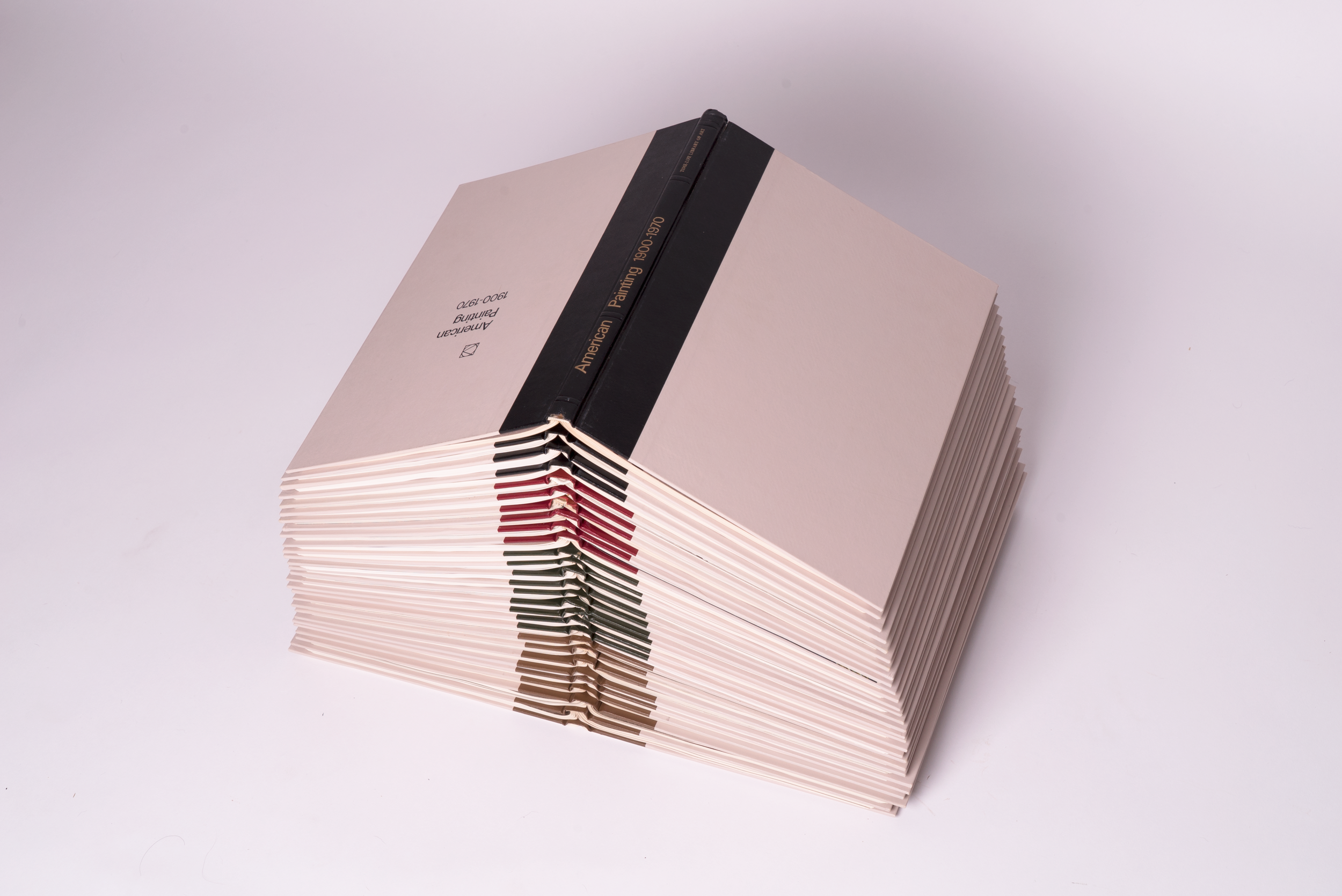 BackBone-vasiligavre-DSC07157.png